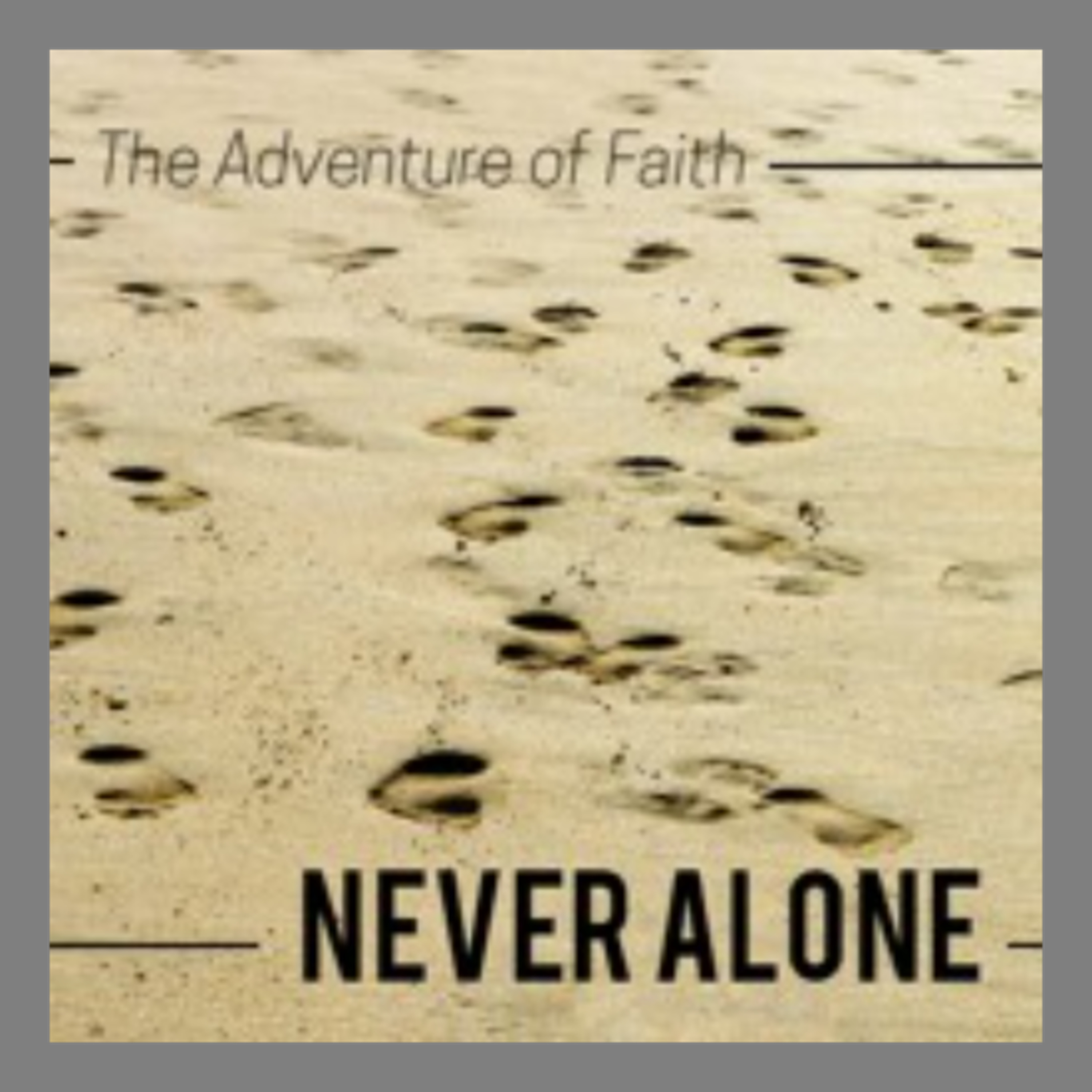 The Adventure of Faith: Never Alone - Michele Sterkenburg episode artwork