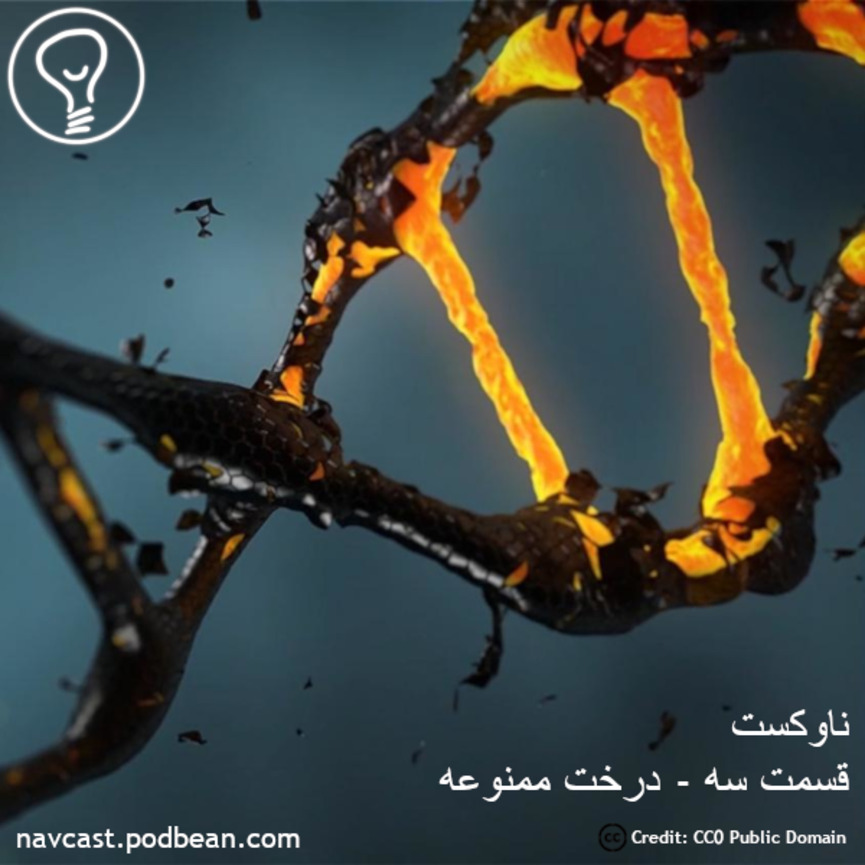 کاور قسمت سه - درخت ممنوعه