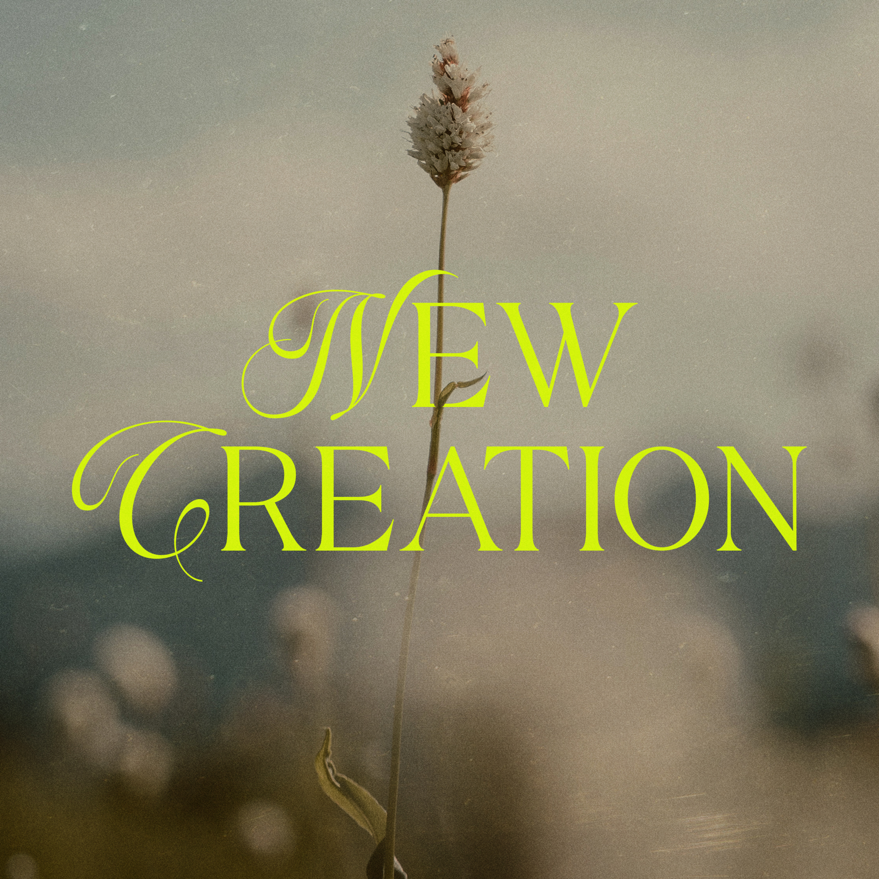 April 6, 2025 - Boasting in Weaknesses // 2 Corinthians 12