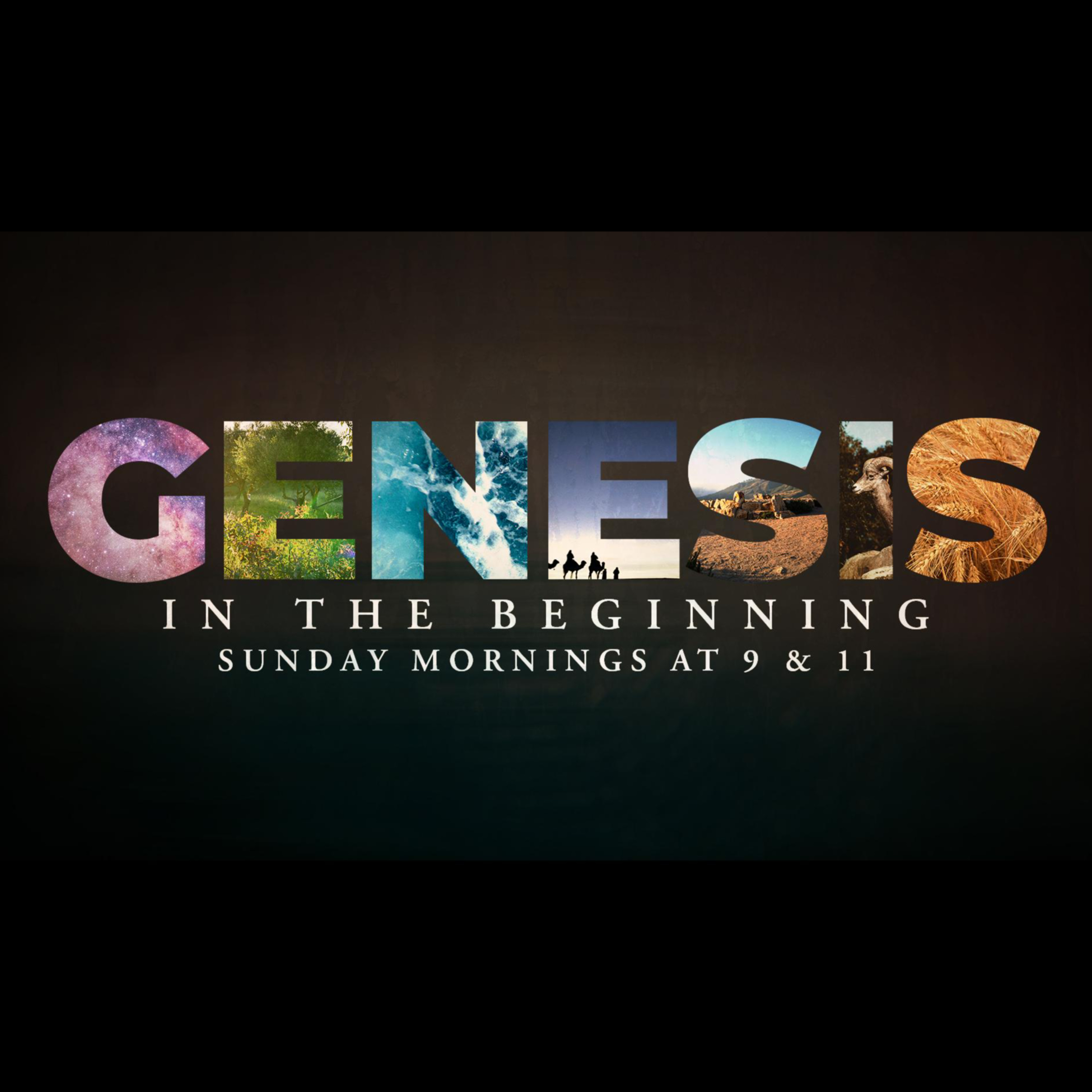 September 14th, 2025 - In His Image // Genesis 2:4-3:24