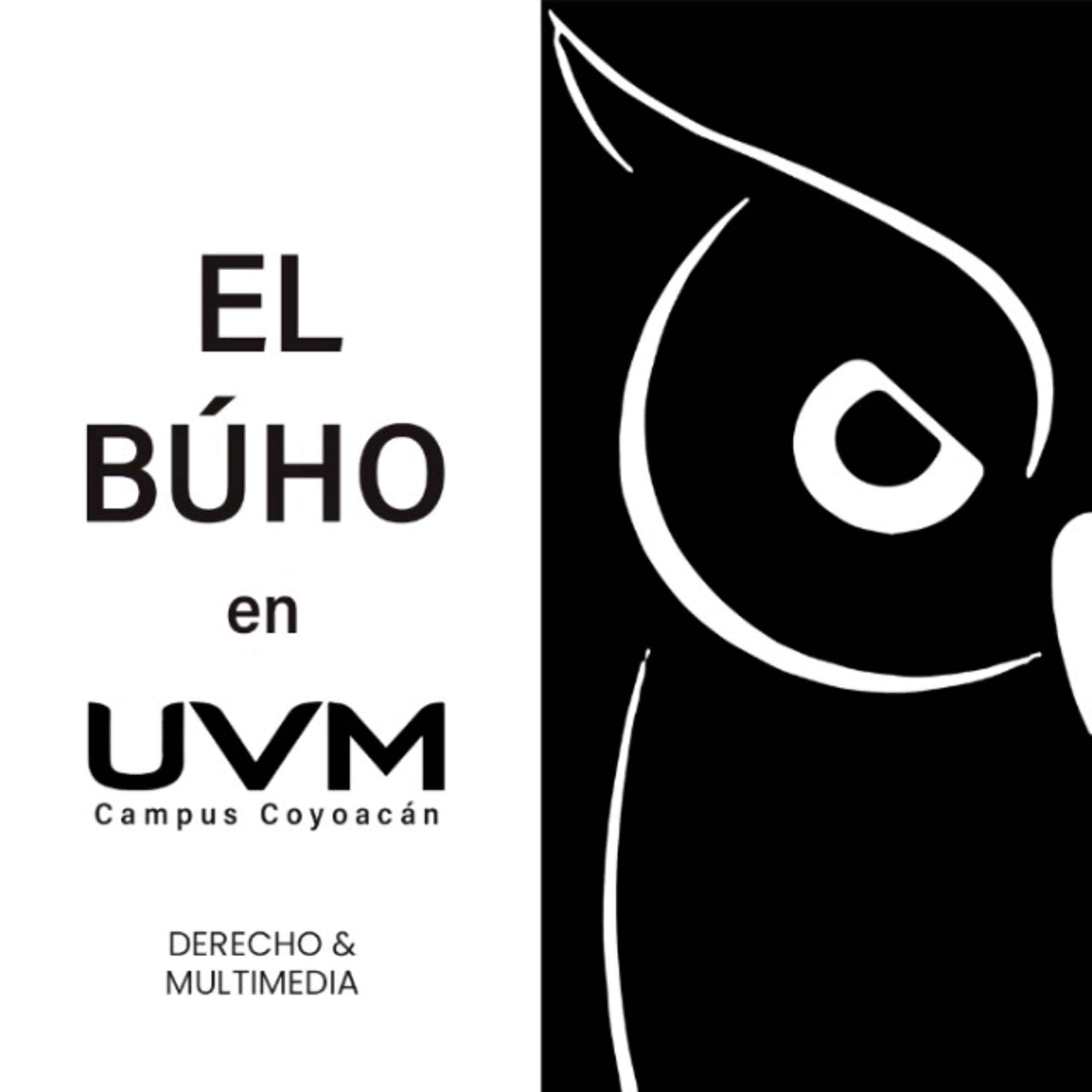 EL BÚHO_08 episode artwork