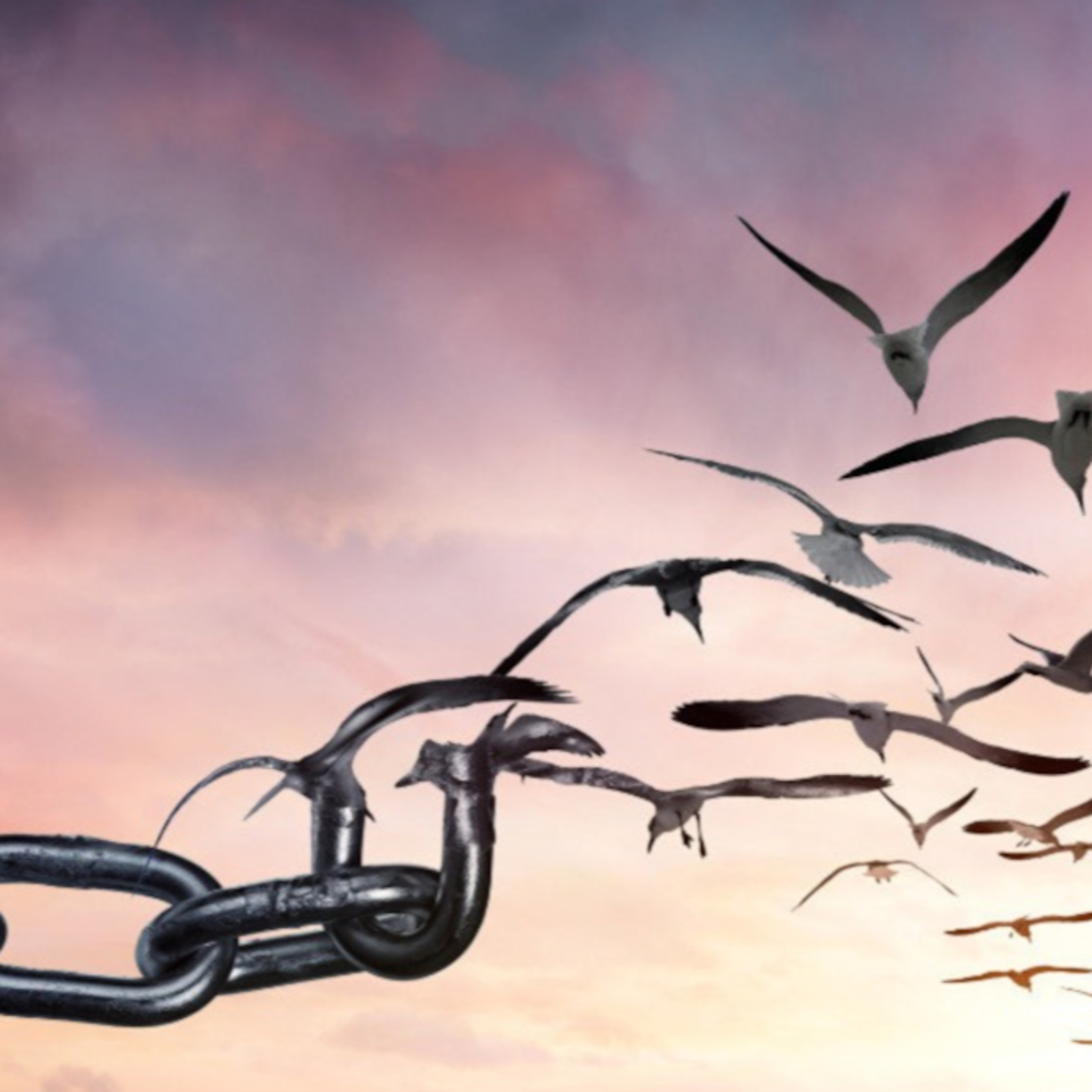 Karma, yoga e liberazione episode artwork
