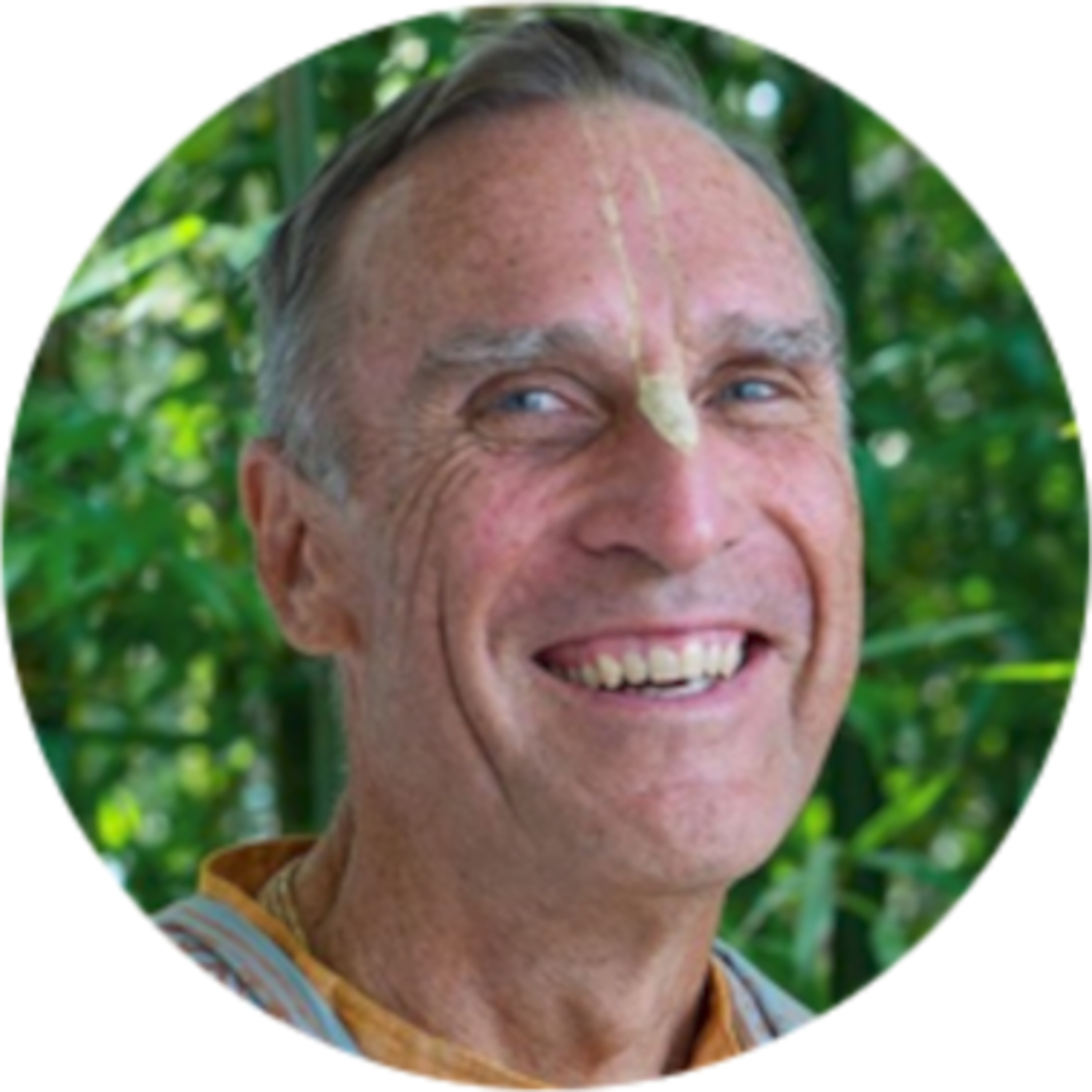 Prabhupada desh ISKCON Vicenza - Podcast