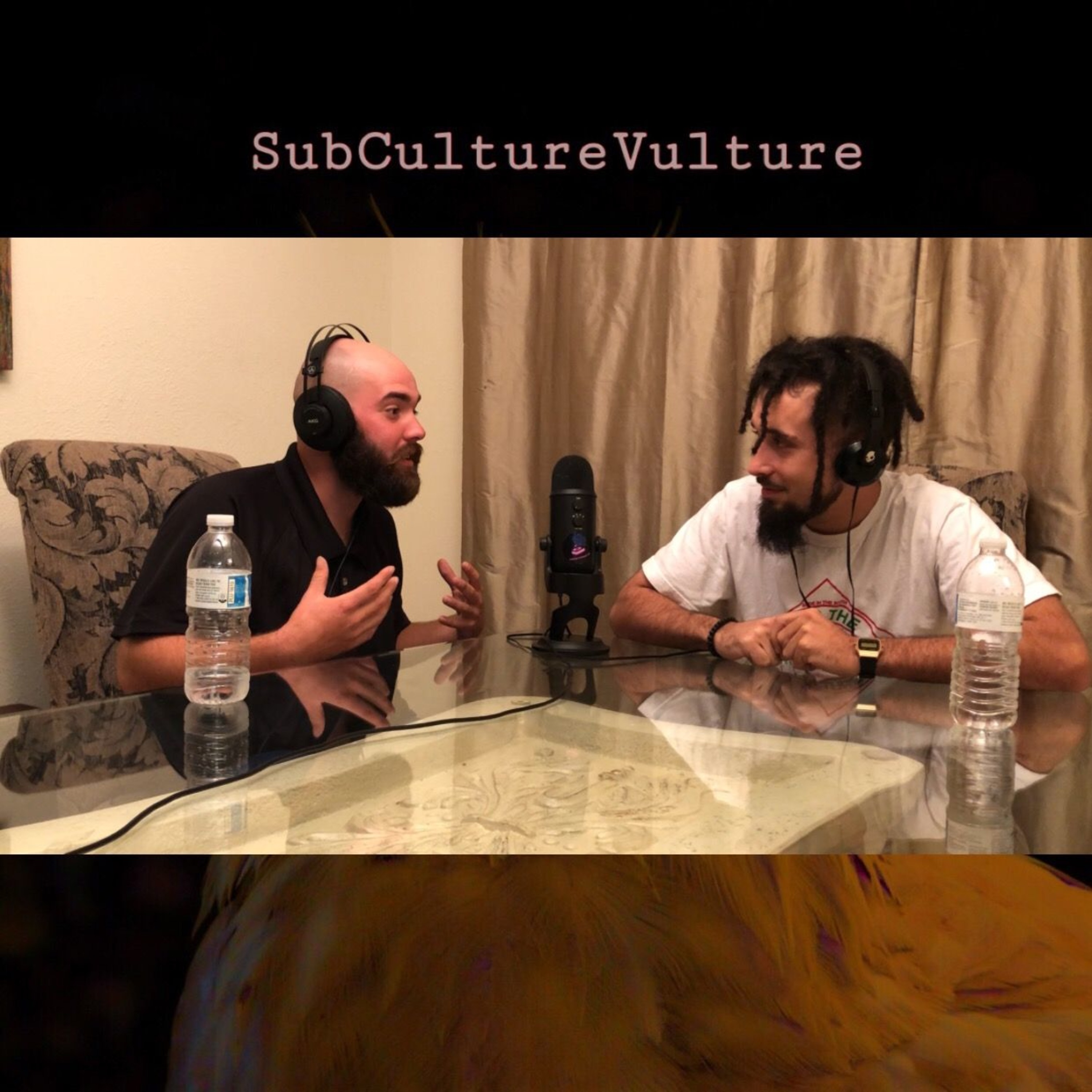 SubCultureVulture