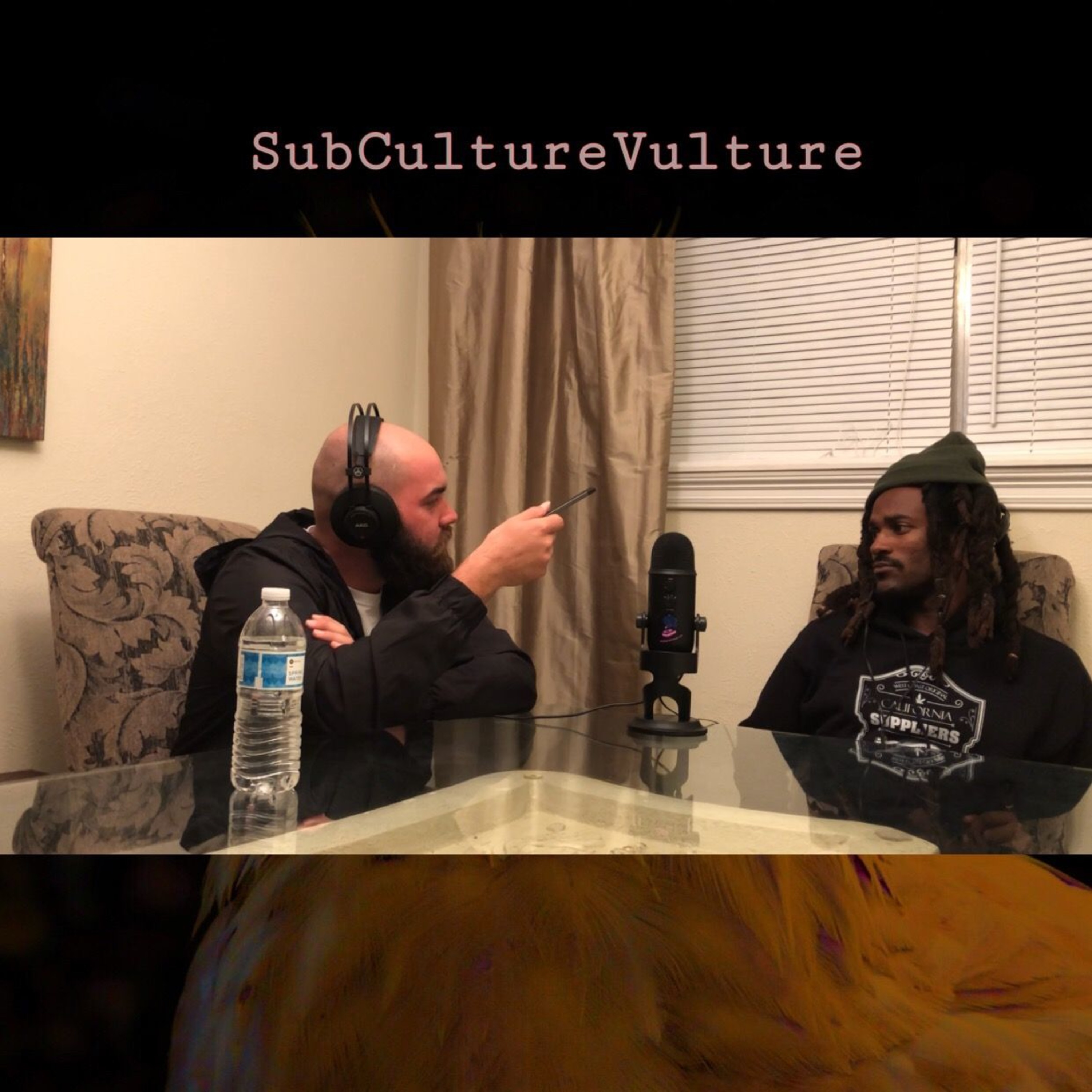 SubCultureVulture