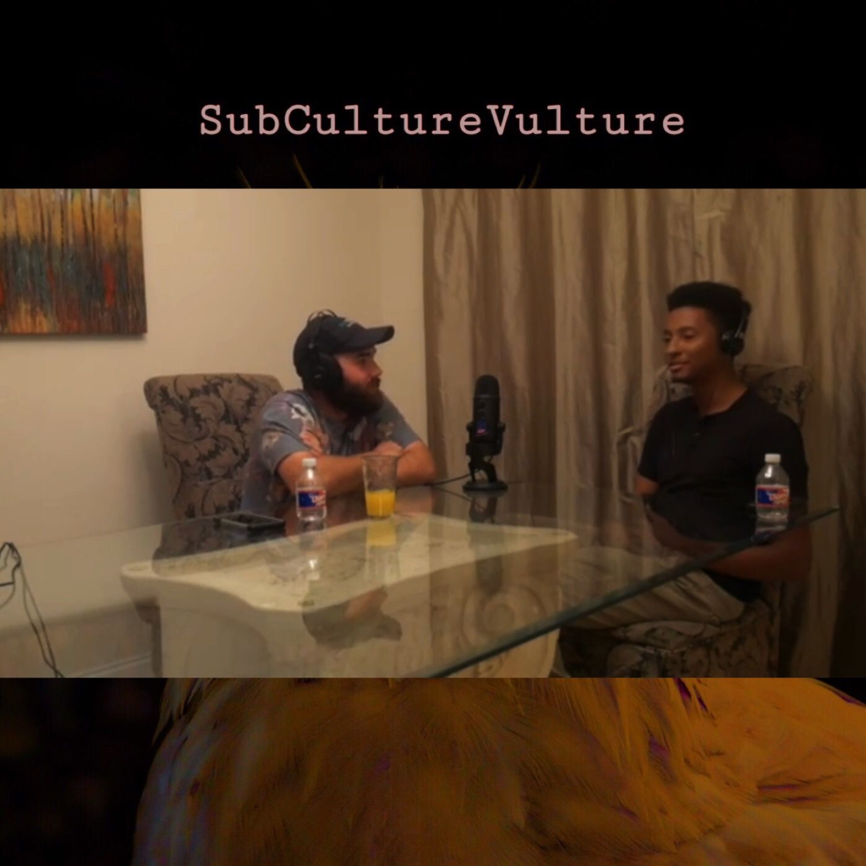 SubCultureVulture