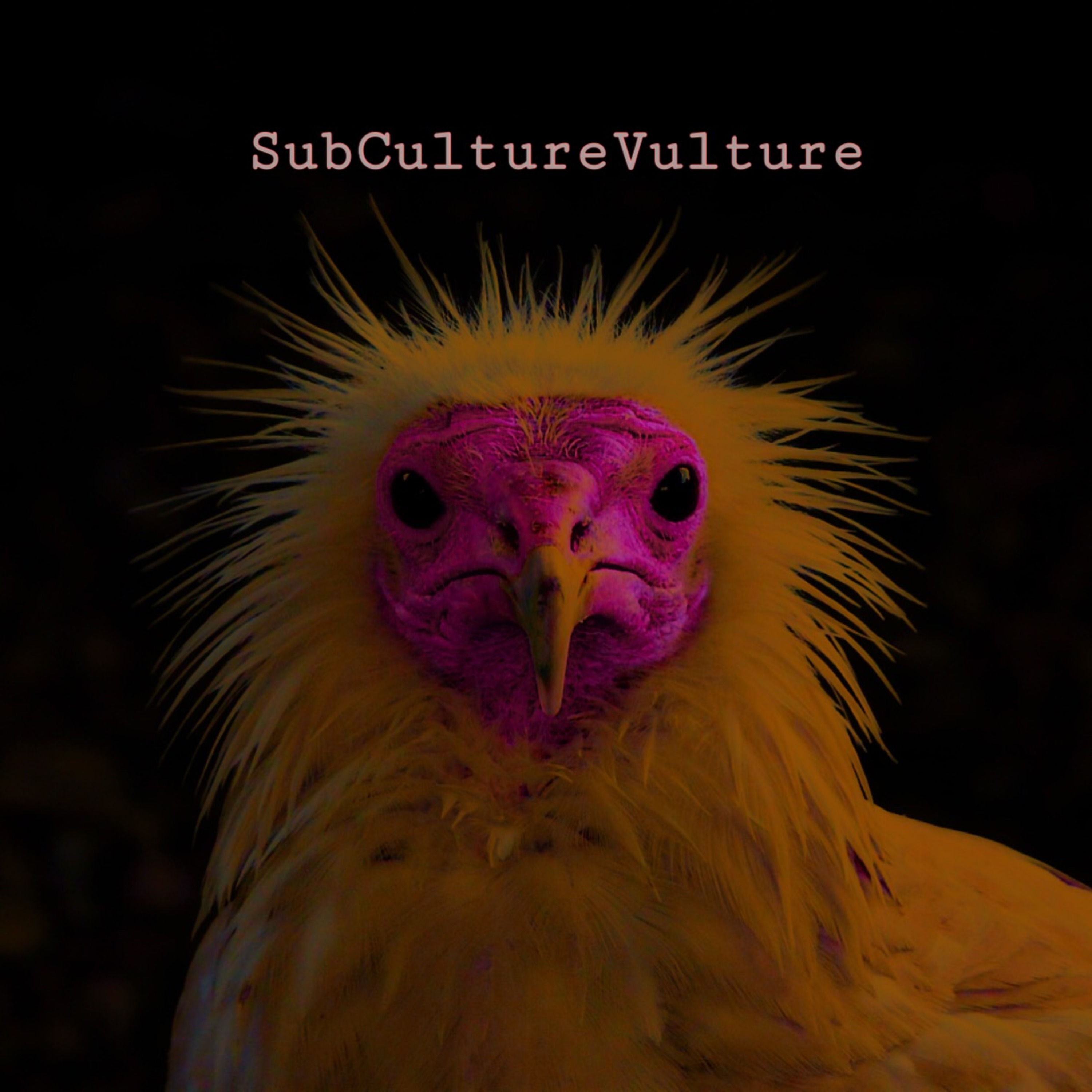 SubCultureVulture