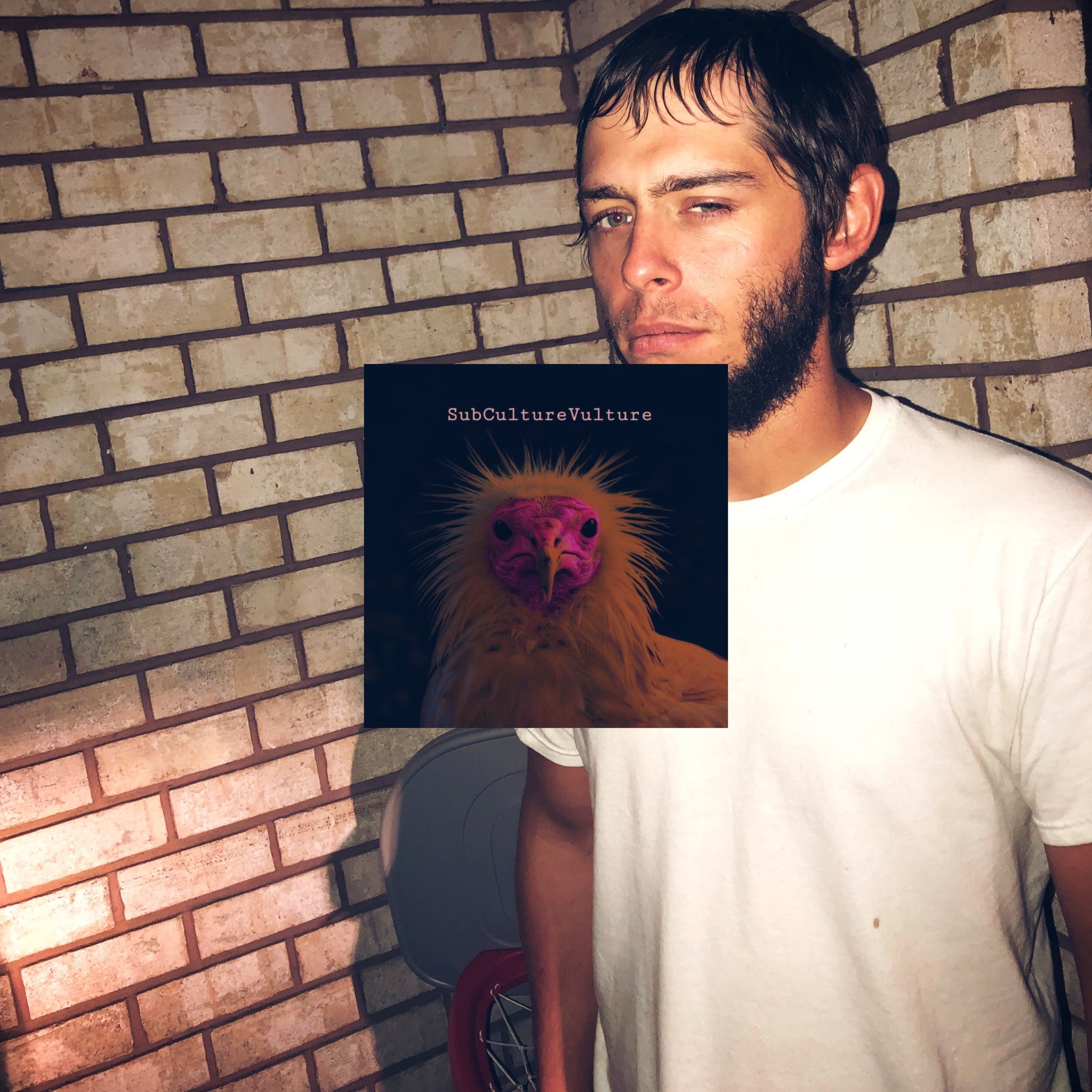 SubCultureVulture