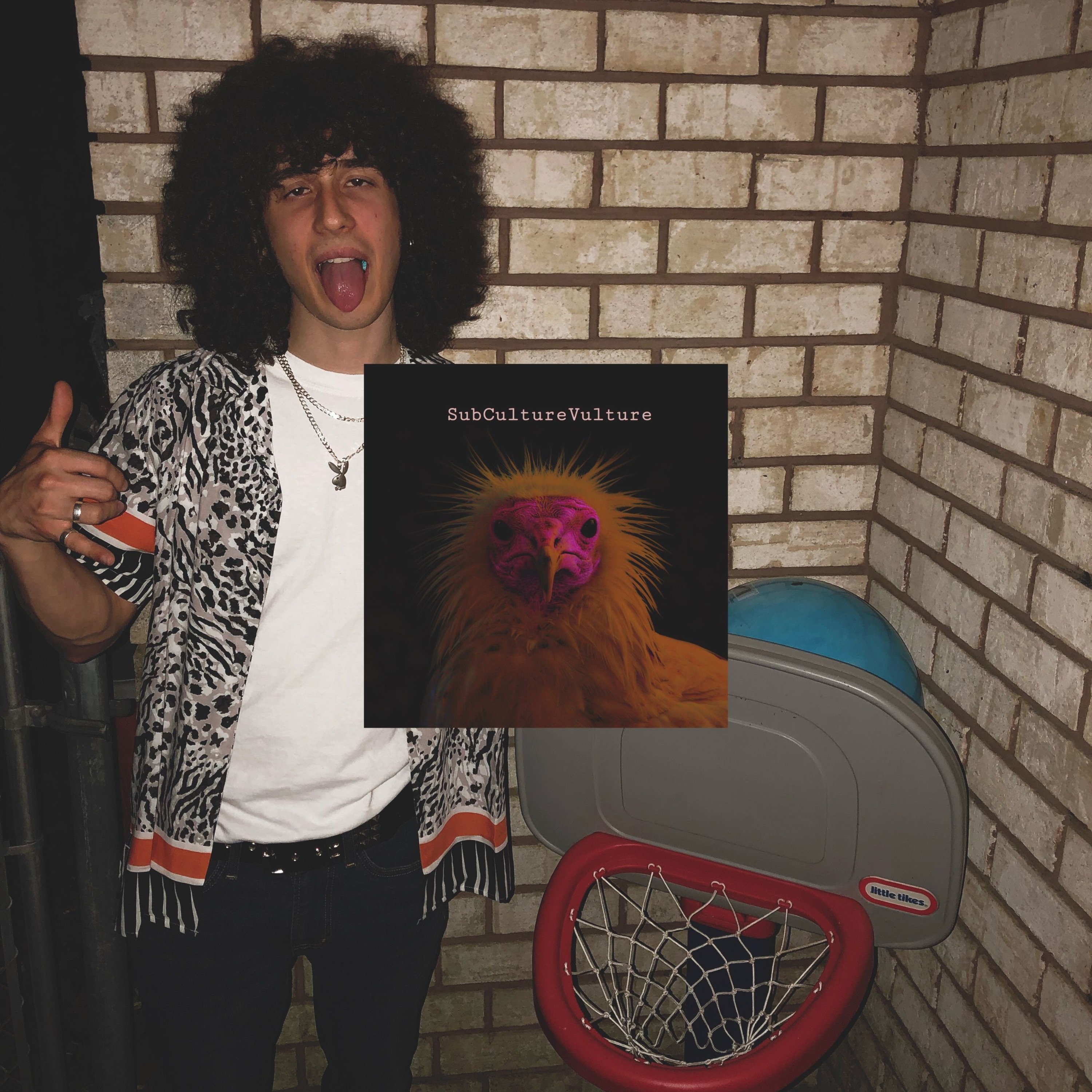 SubCultureVulture