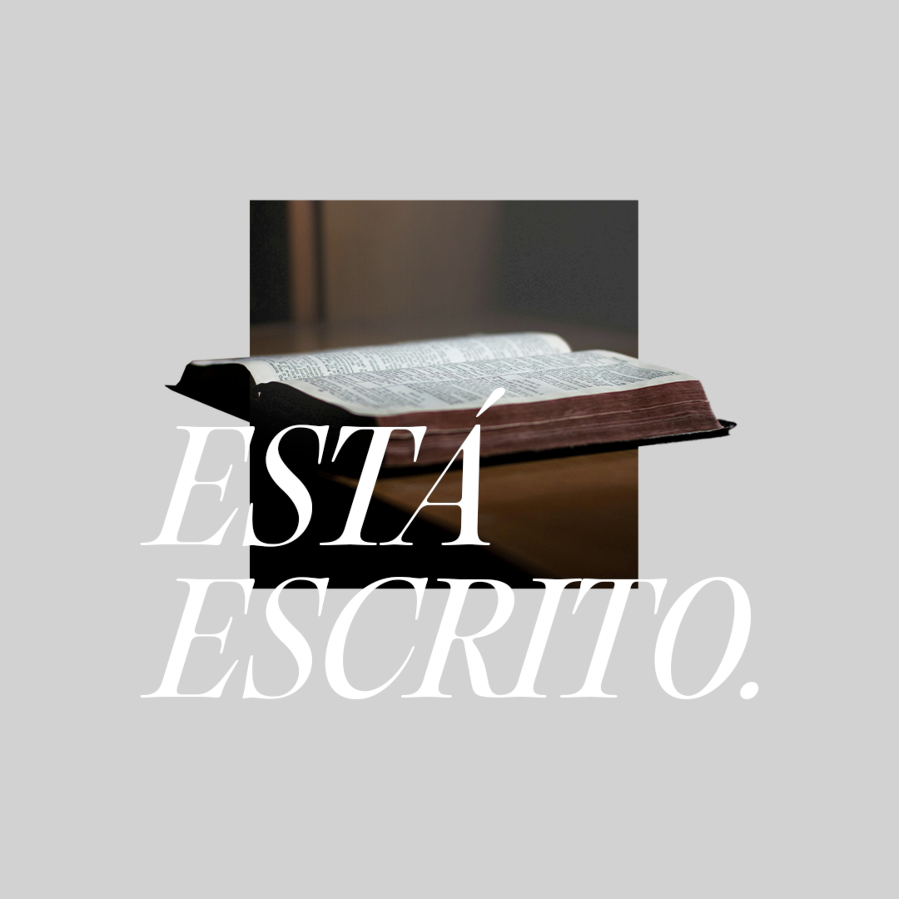 Está Escrito - Pt. 2 | LTP Noemi Macedo episode artwork