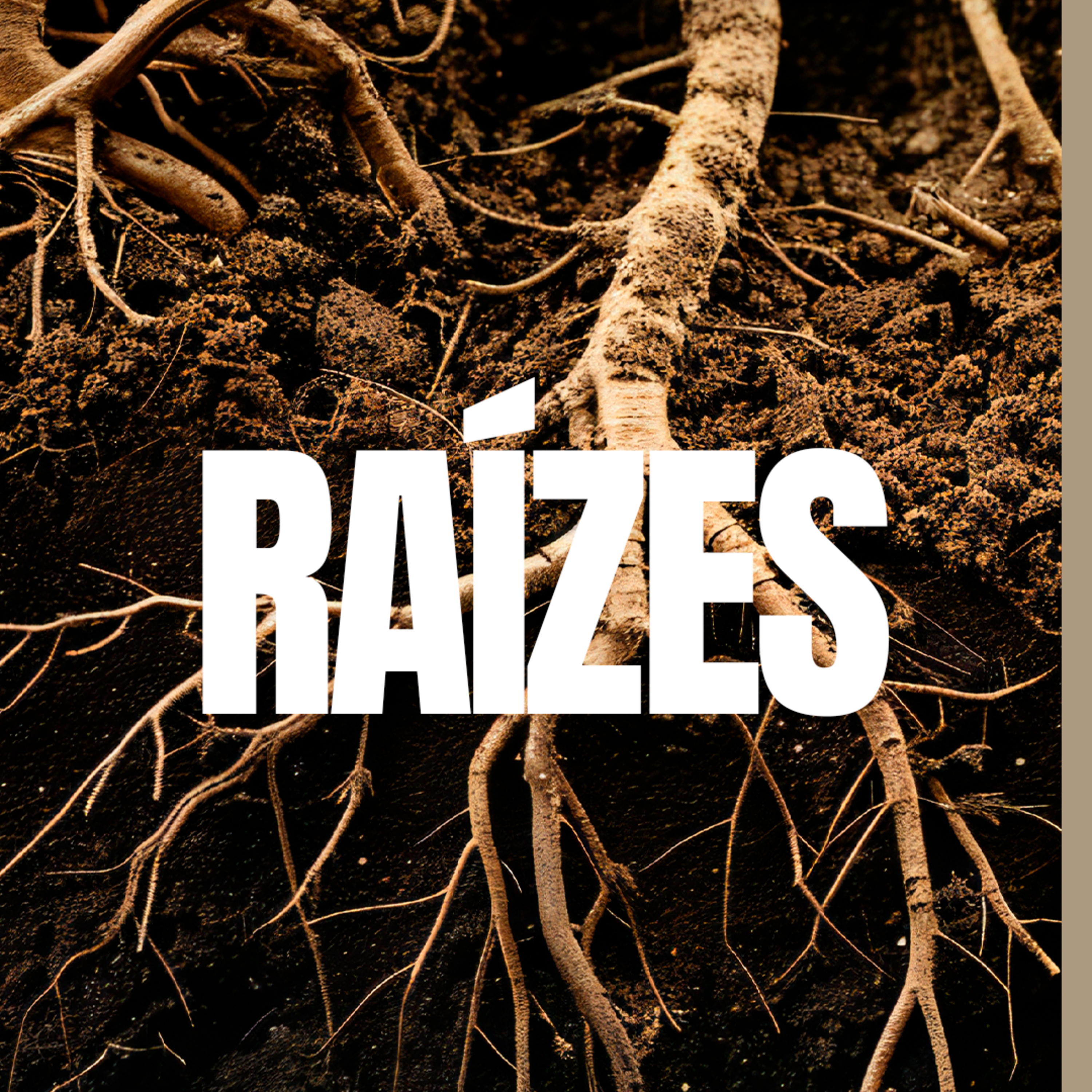 Raízes - Pt. 3 | Pra. Lidiane Domingues episode artwork