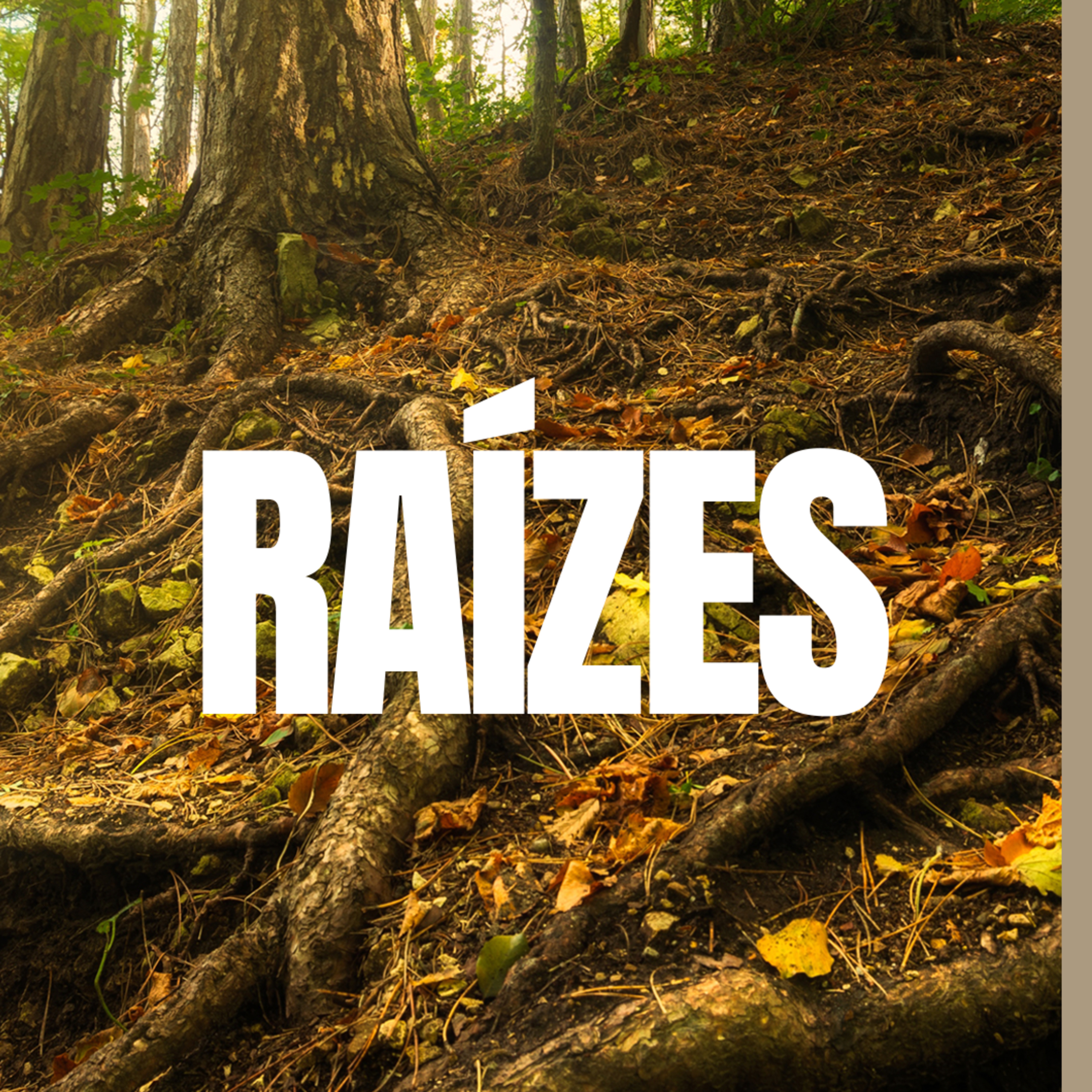 Raízes - Pt. 5 | Pra. Thaise Amorim  episode artwork