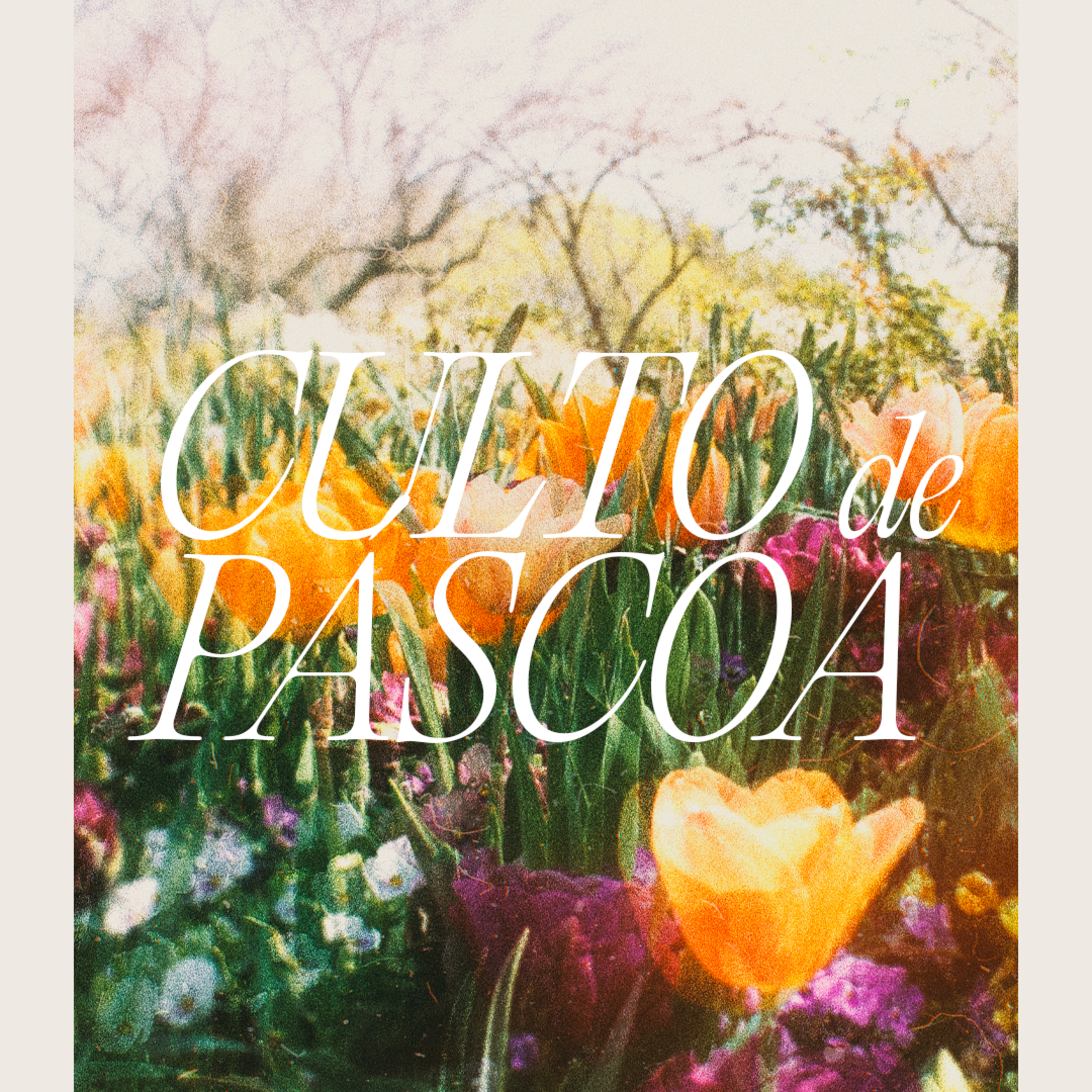 Culto de Páscoa | Pr. Natan Lopes episode artwork