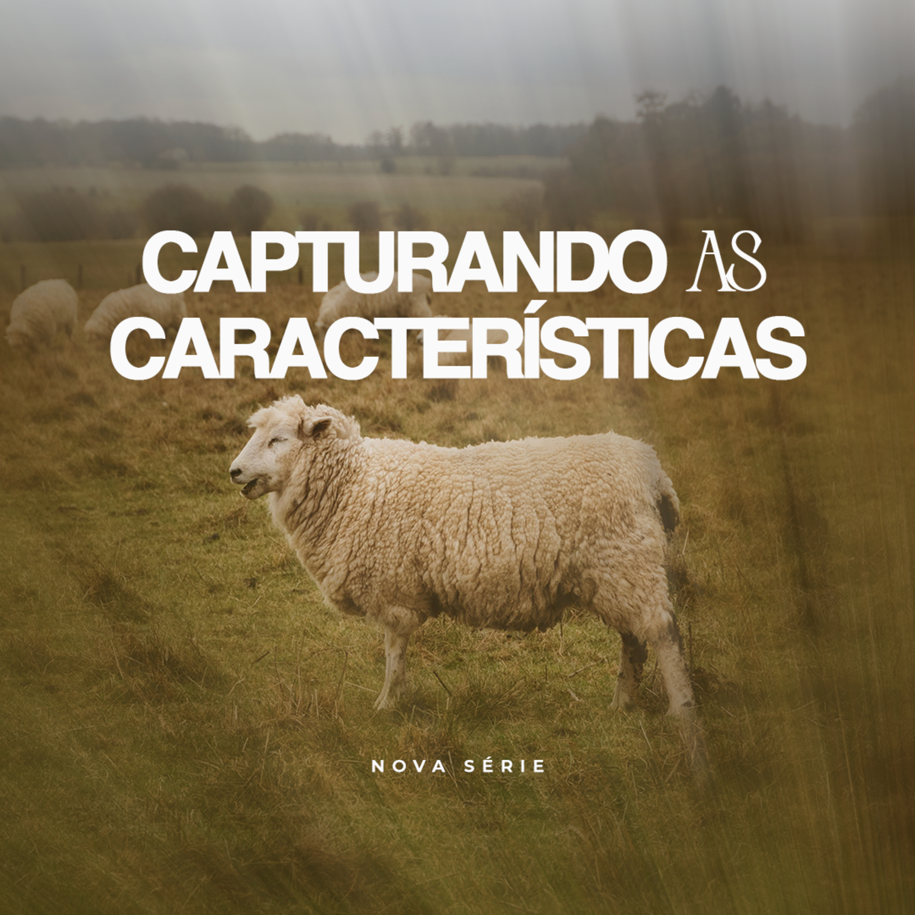 Capturando As Características - Pt. 3 | Pastor Natan Lopes episode artwork