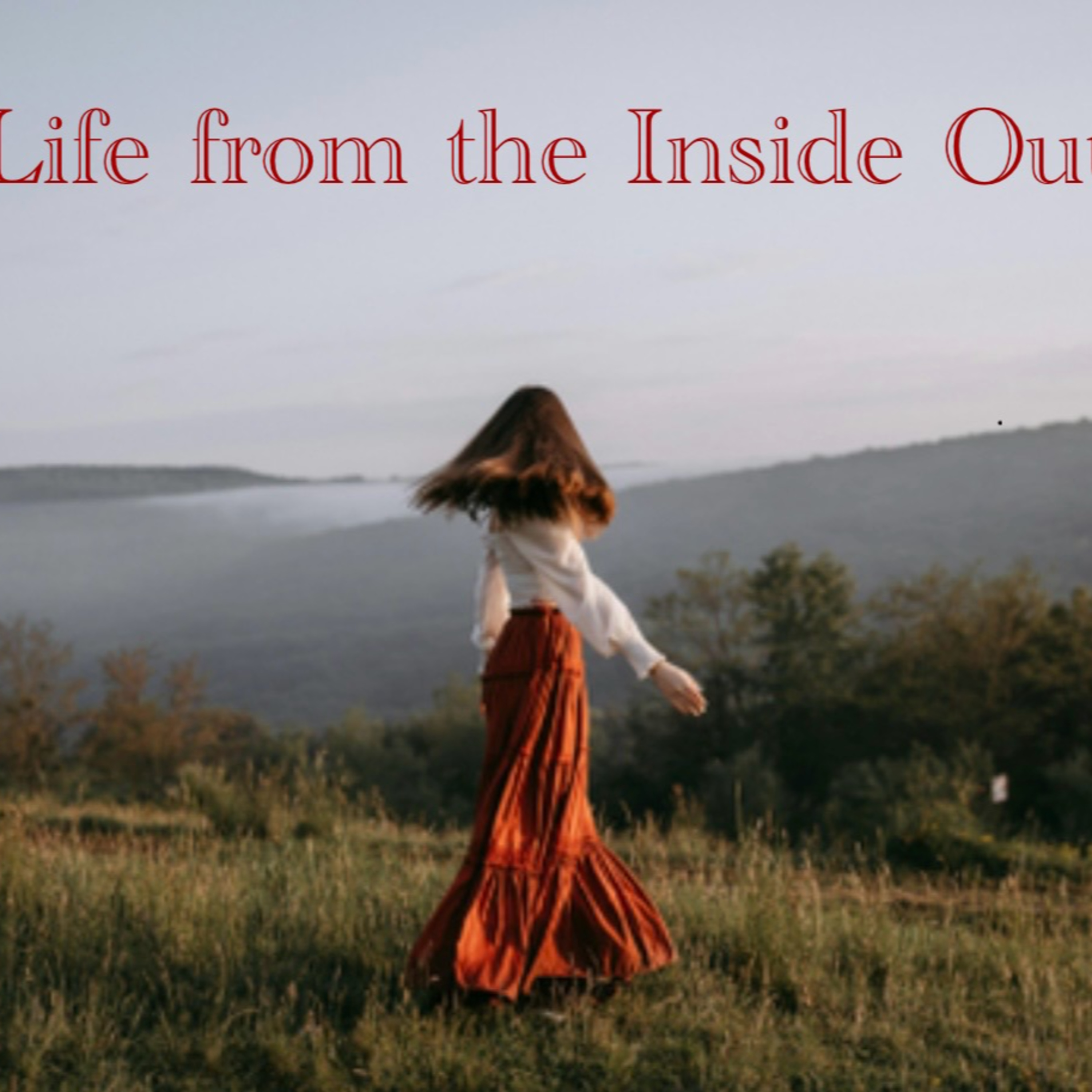 Life from the Inside Out episode artwork