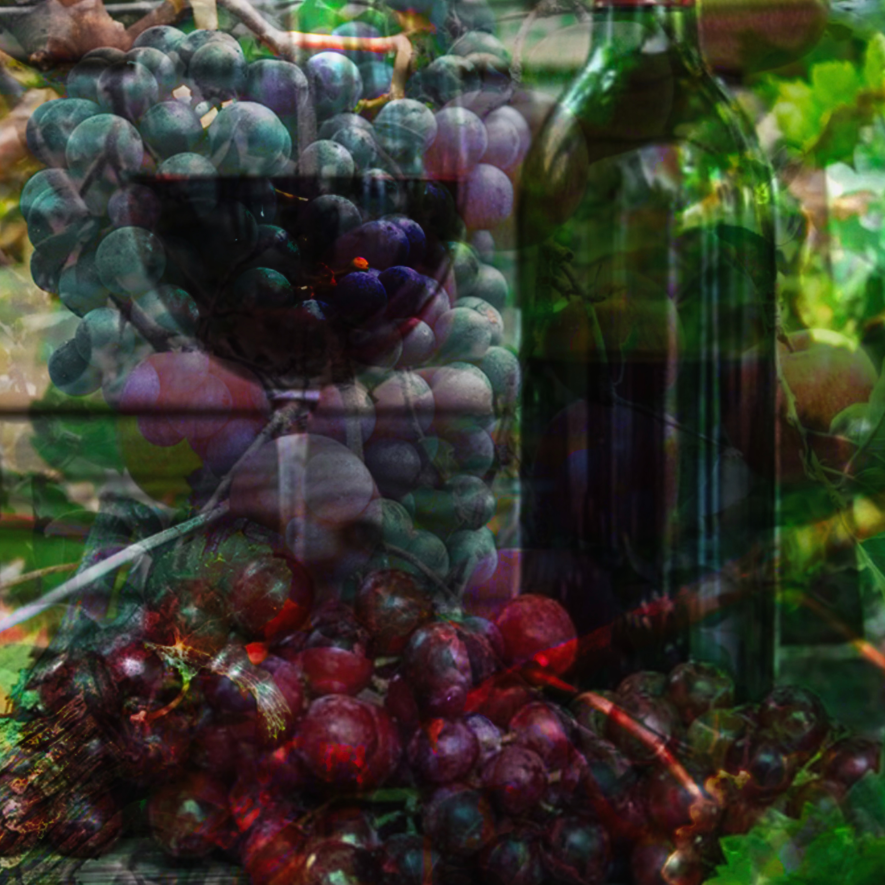 What Kind of Fruit episode artwork