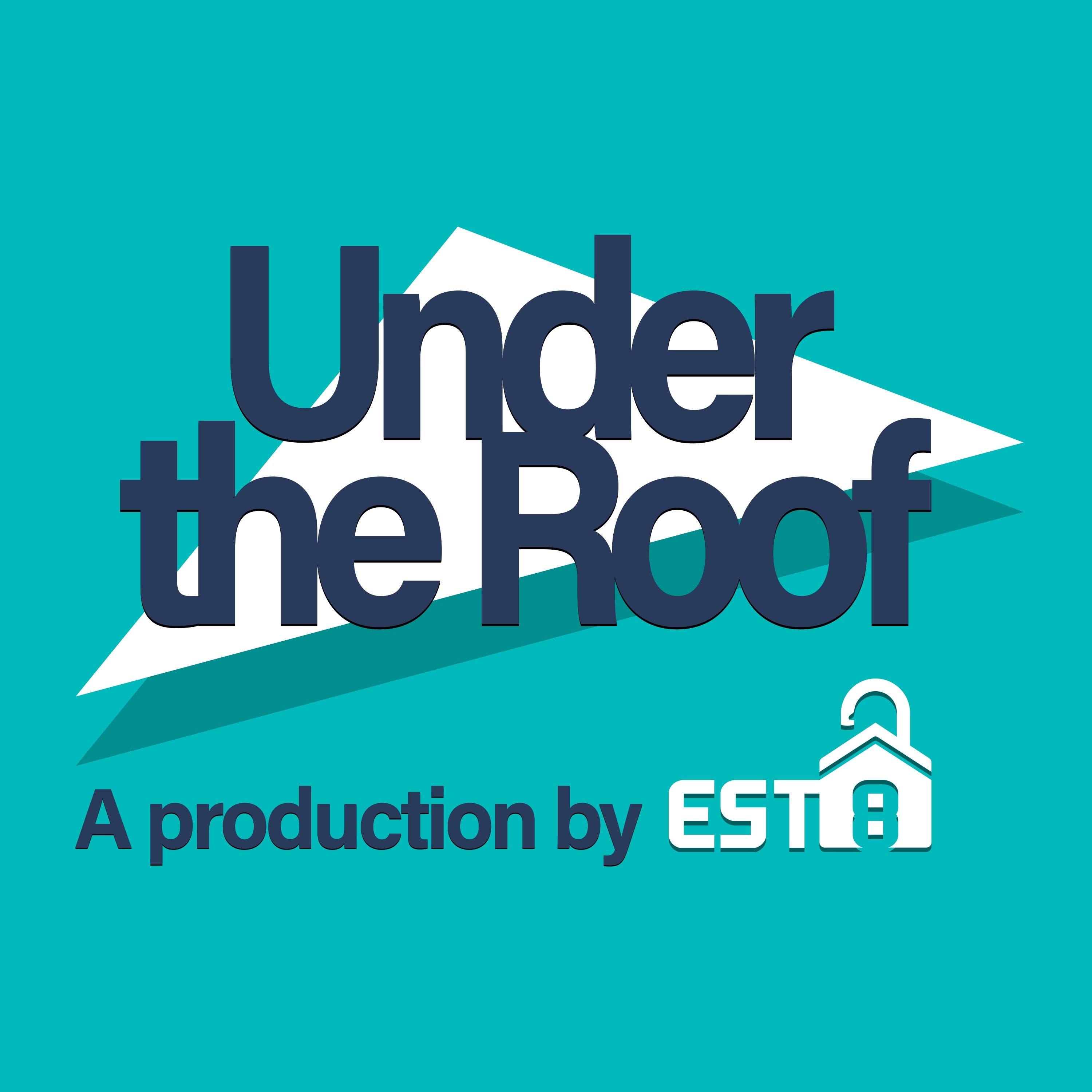 Ep. 03 - The "Flippening" of Realty (Predictions for 2019)