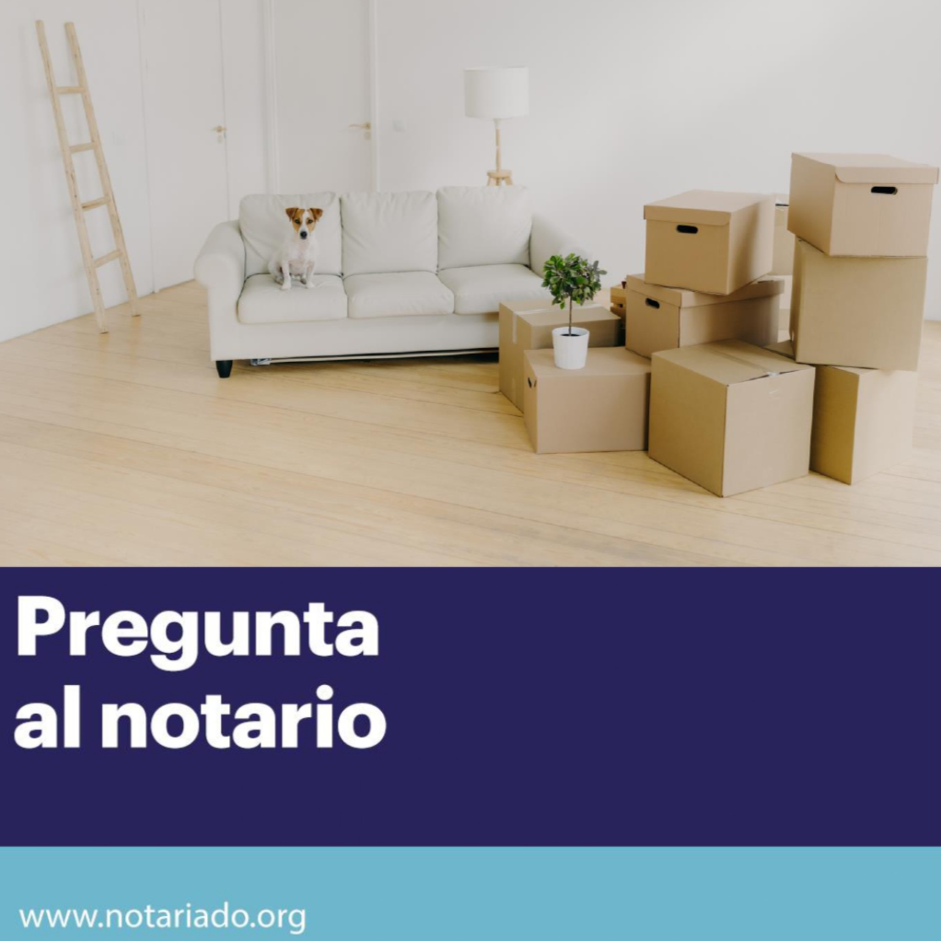 Pregunta al Notario