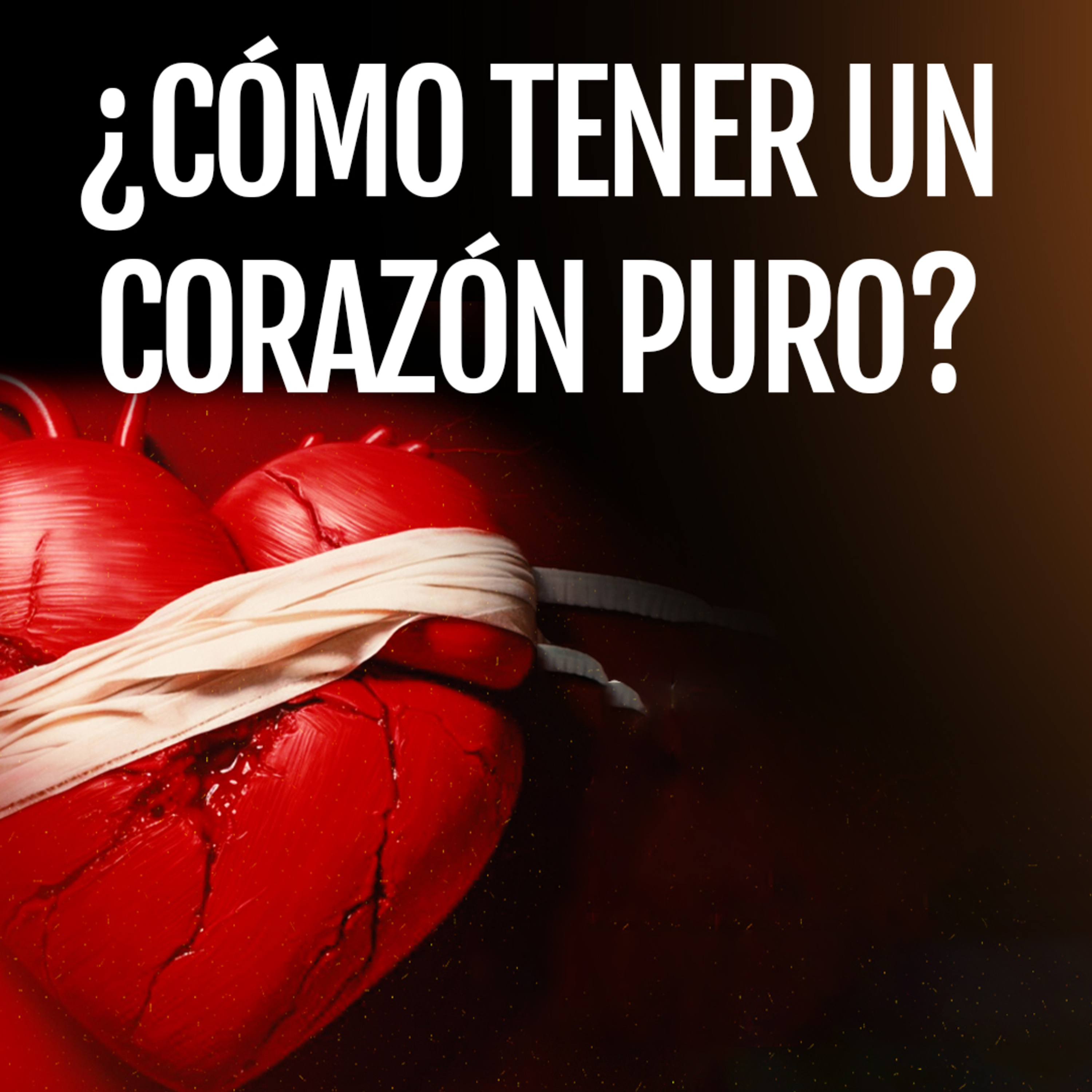 Portada de Voz Interior