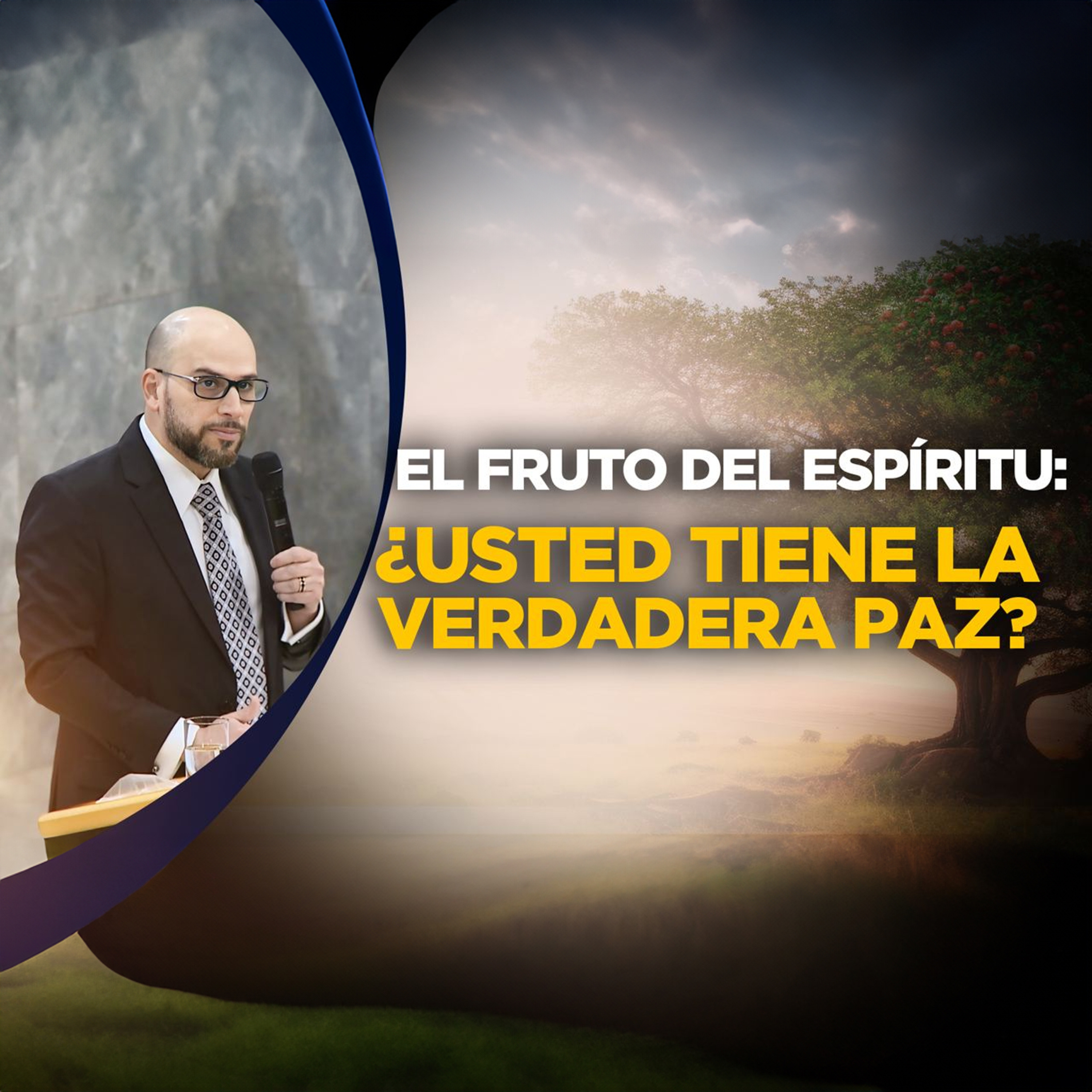 Portada de Voz Interior