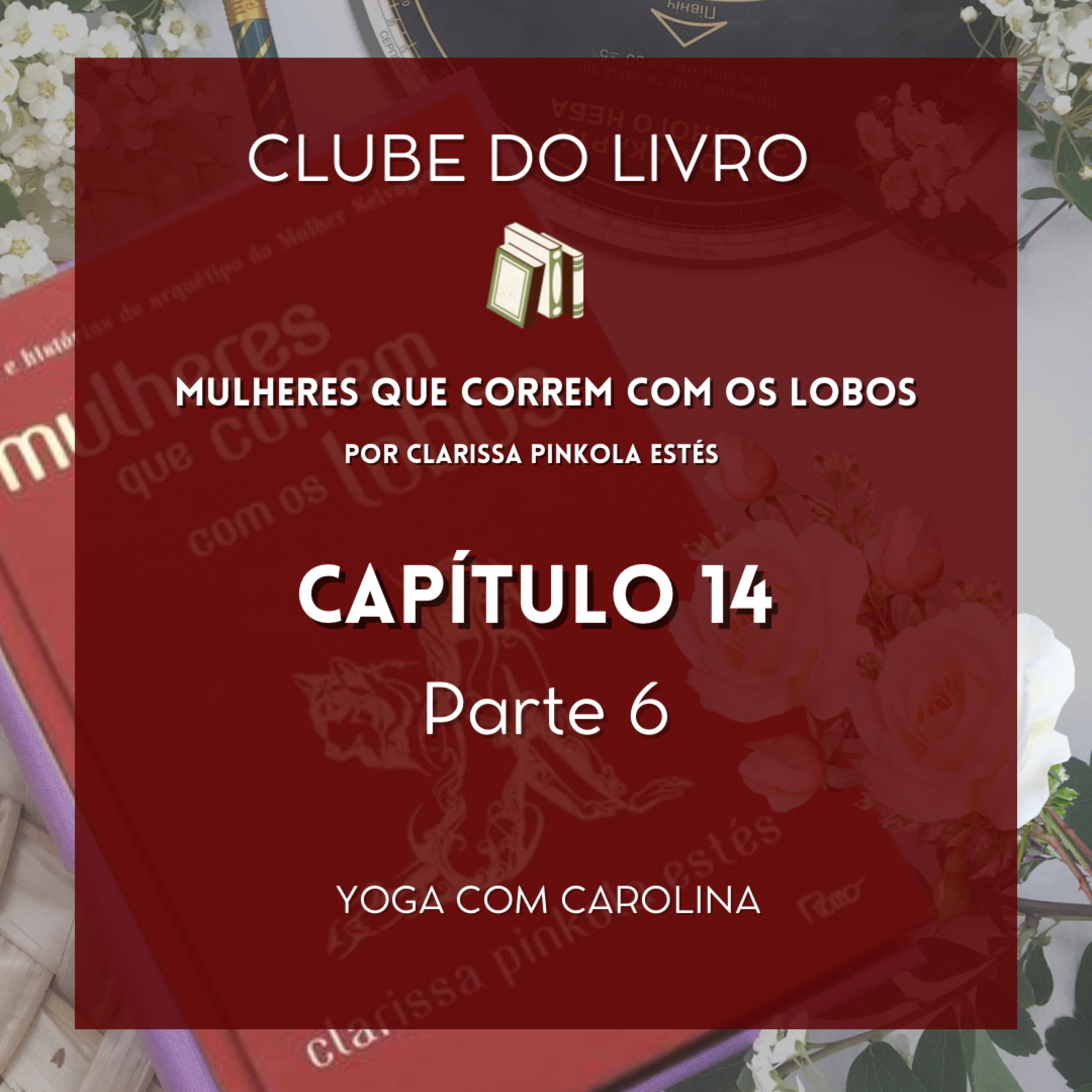 Capítulo 14 • Parte 6 • Mulheres que Correm com os Lobos • Audiobook episode artwork