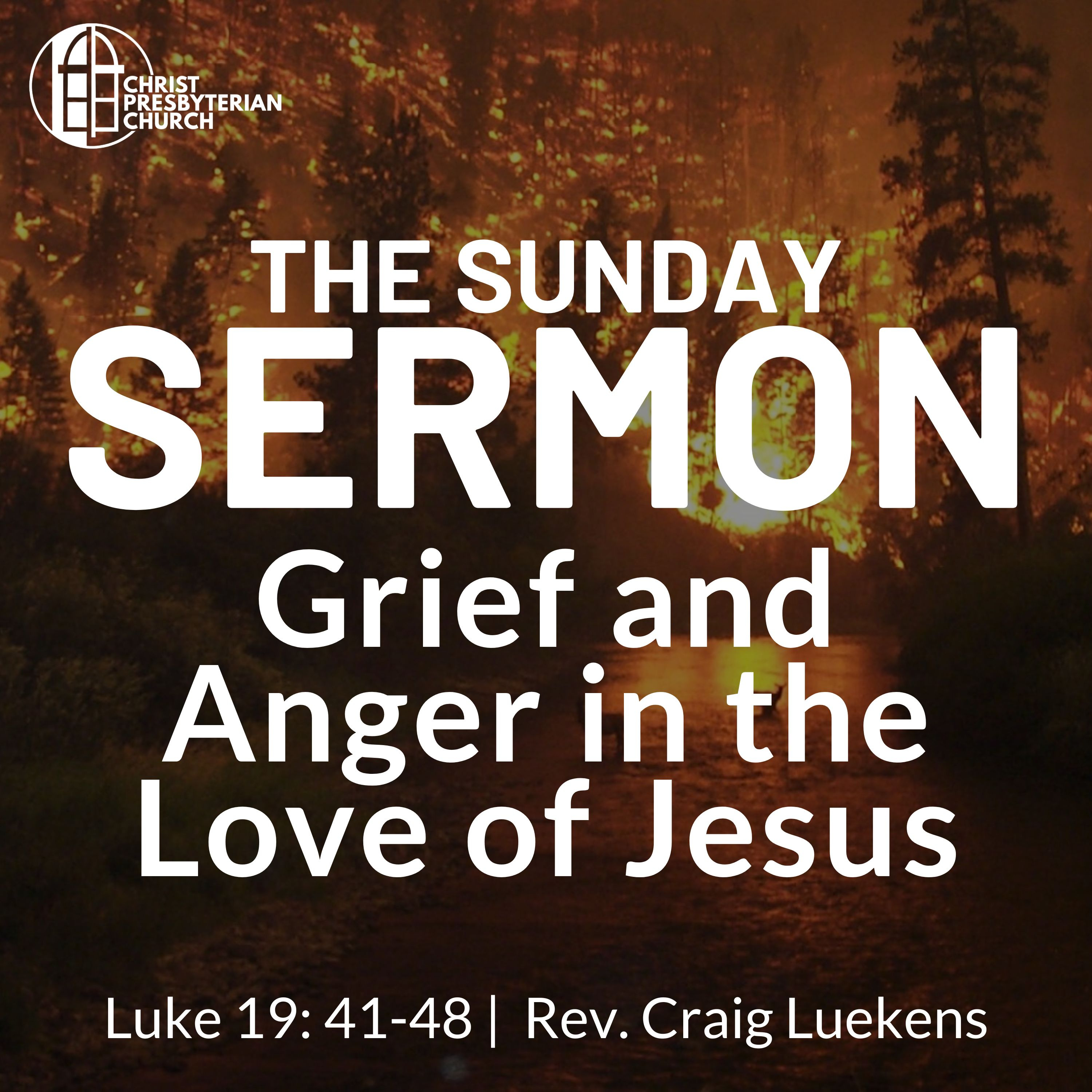Grief and Anger in the Love of Jesus | The Sunday Sermon | Luke 19: 41-48 | Rev. Craig Luekens episode artwork