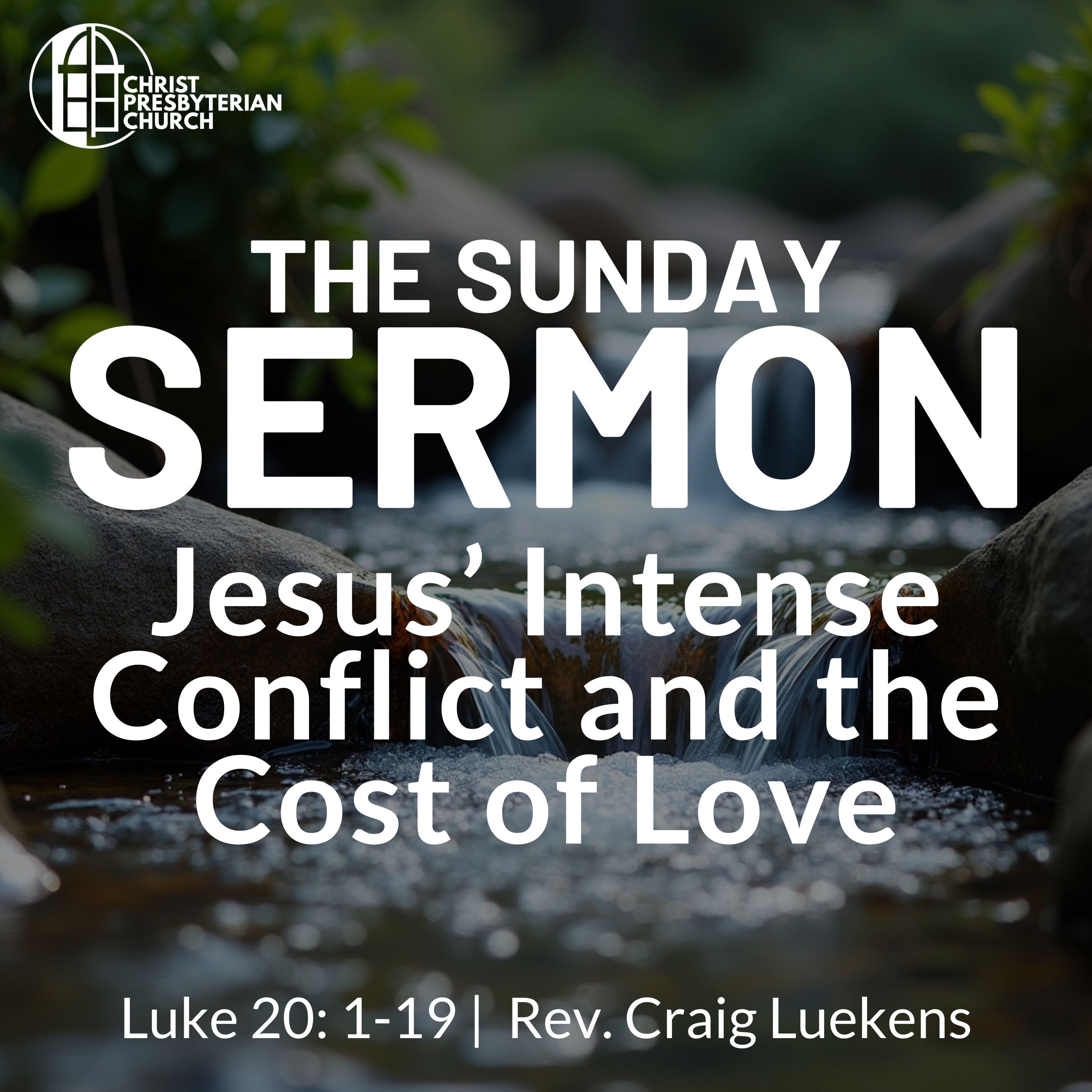Jesus’ Intense Conflict and the Cost of Love | The Sunday Sermon | Luke 20: 1-19 | Rev. Craig Luekens episode artwork