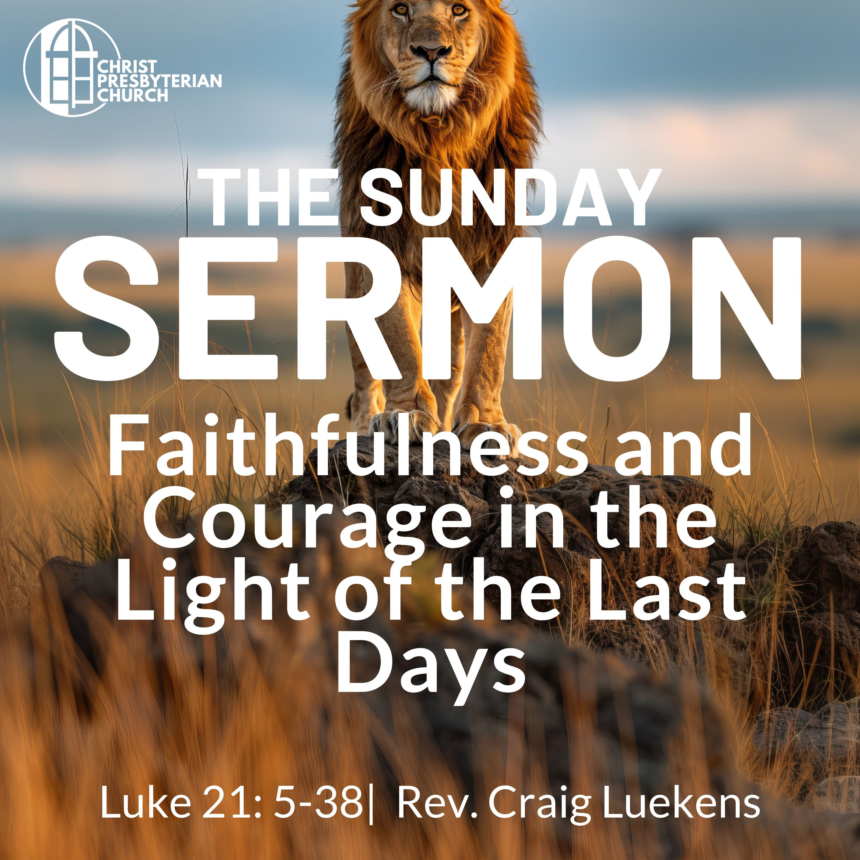 Faithfulness and Courage in the Light of the Last Days | The Sunday Sermon | Luke 21: 5-38 episode artwork