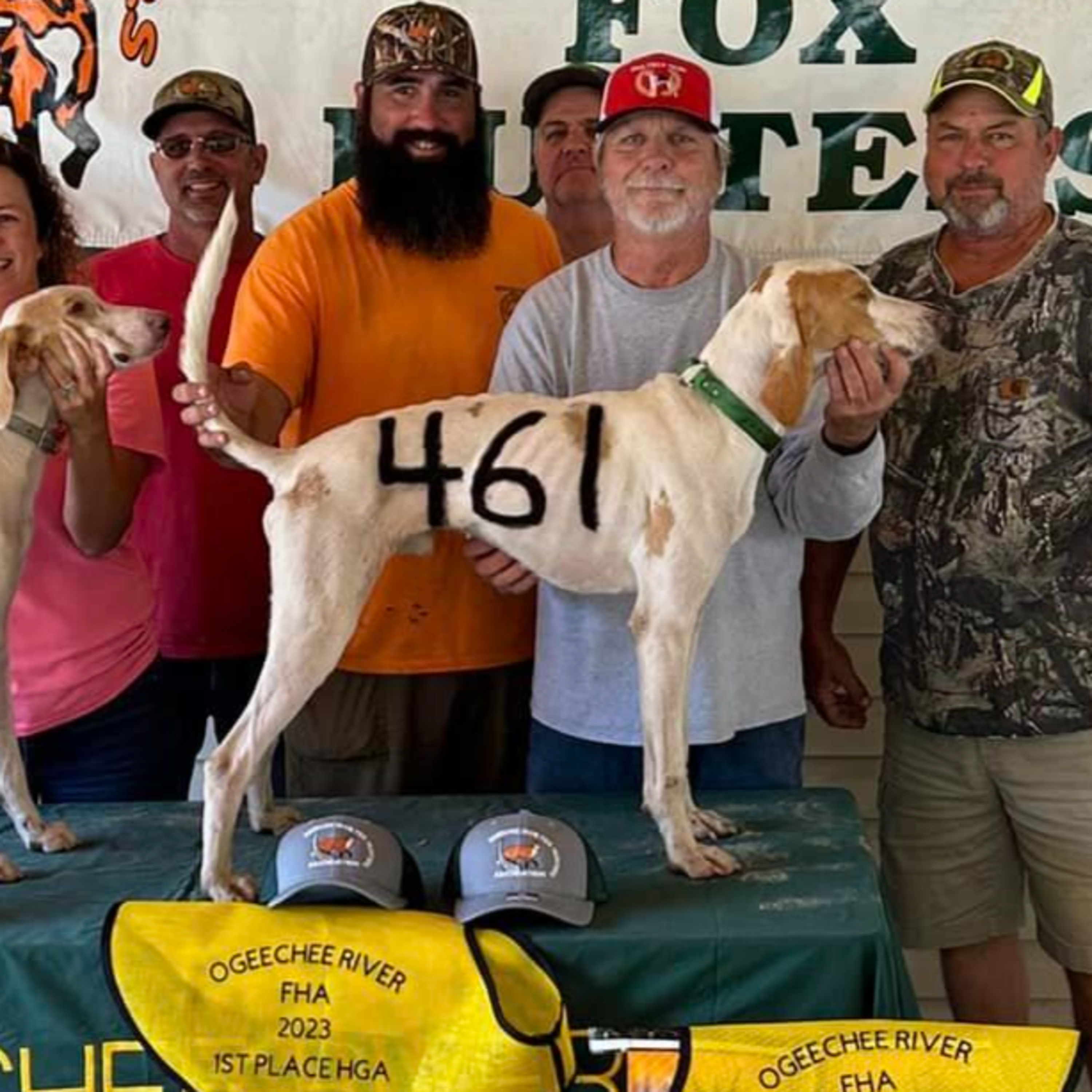 Hounds Tales