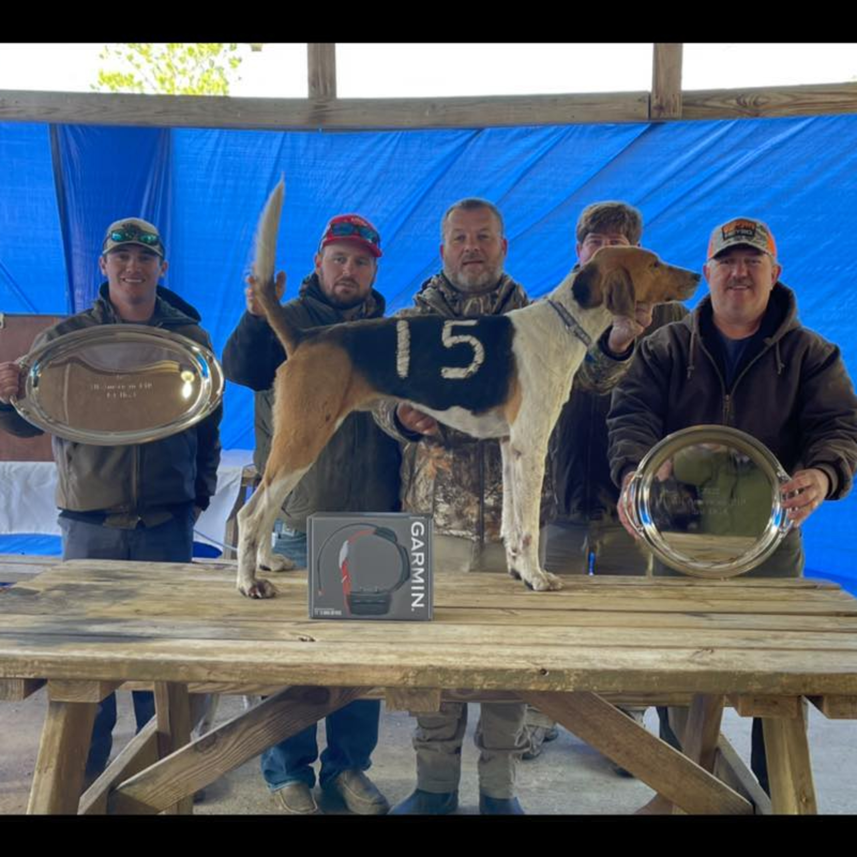 Hounds Tales
