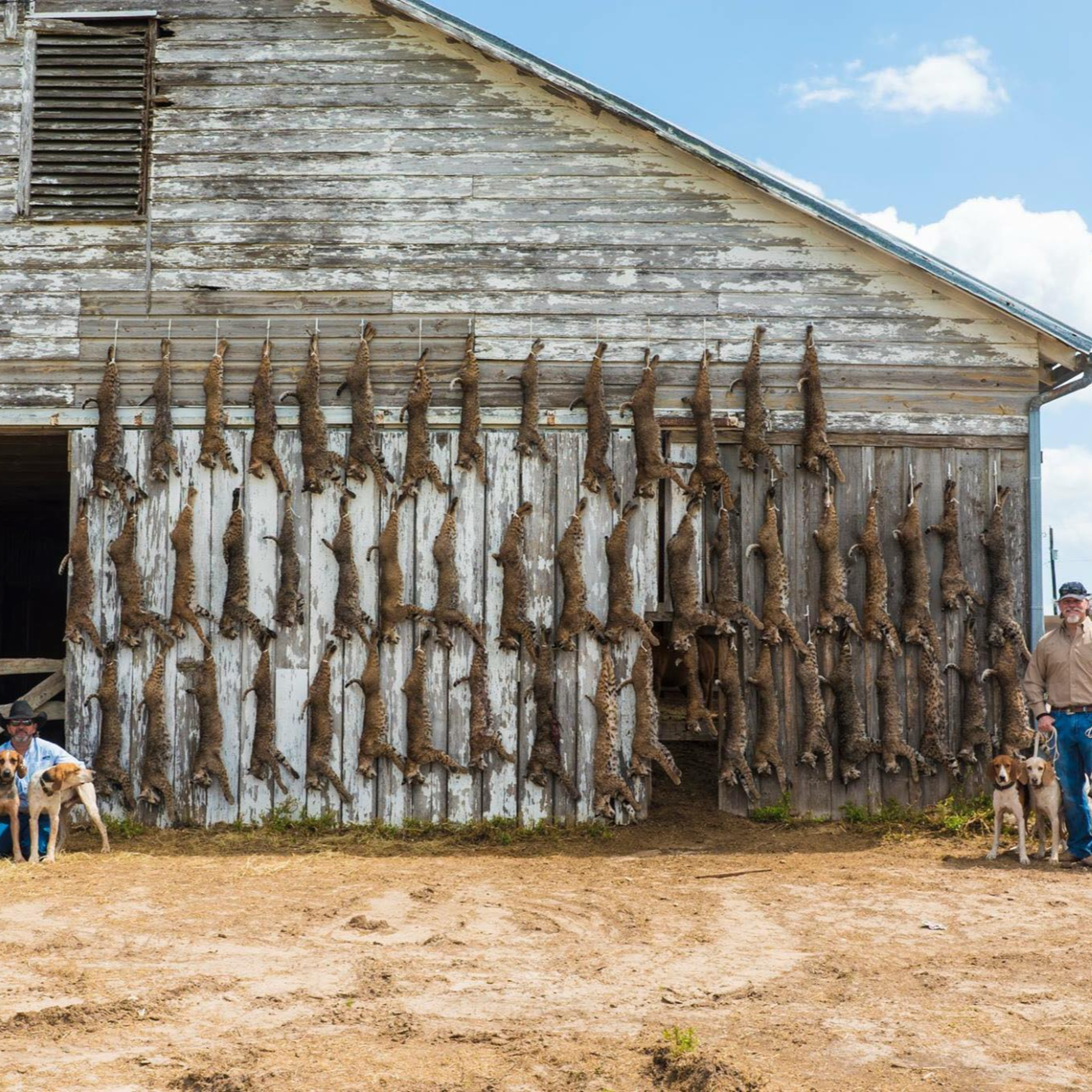 Episode 108: Dan Braman & Melon Ranch Hound