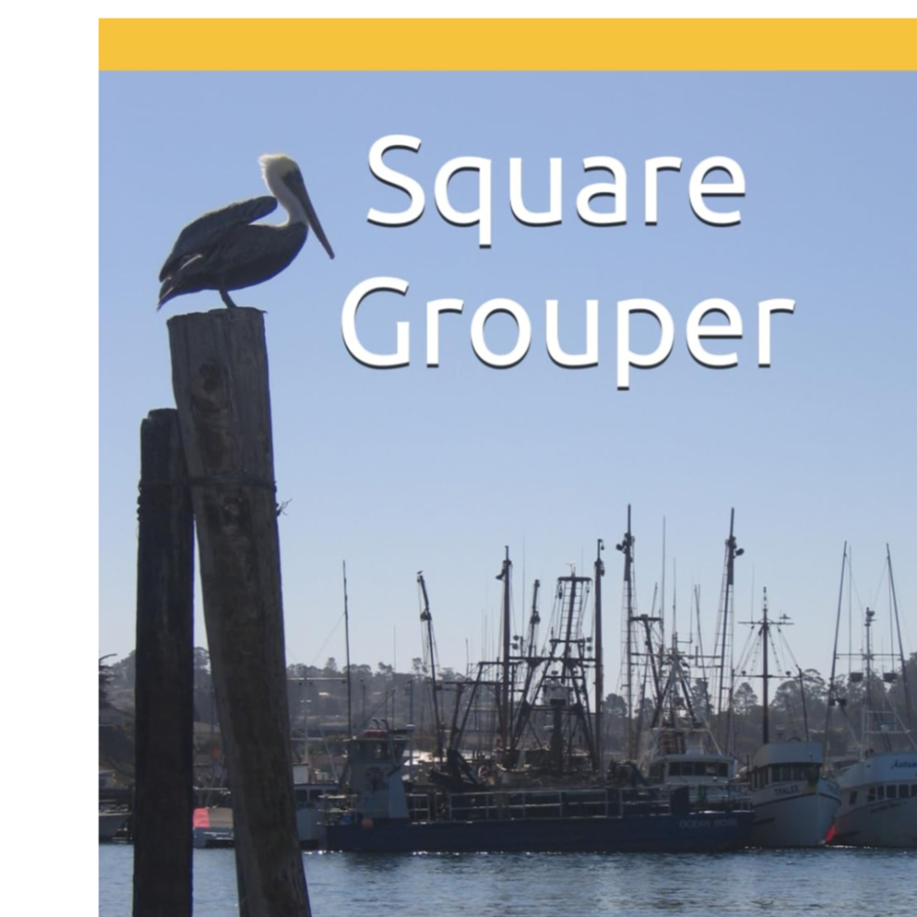 'Square Grouper' by Justin Welfeld (Book Review) - Exciting Read for Surfers w/ an M. Knight Twist! episode artwork