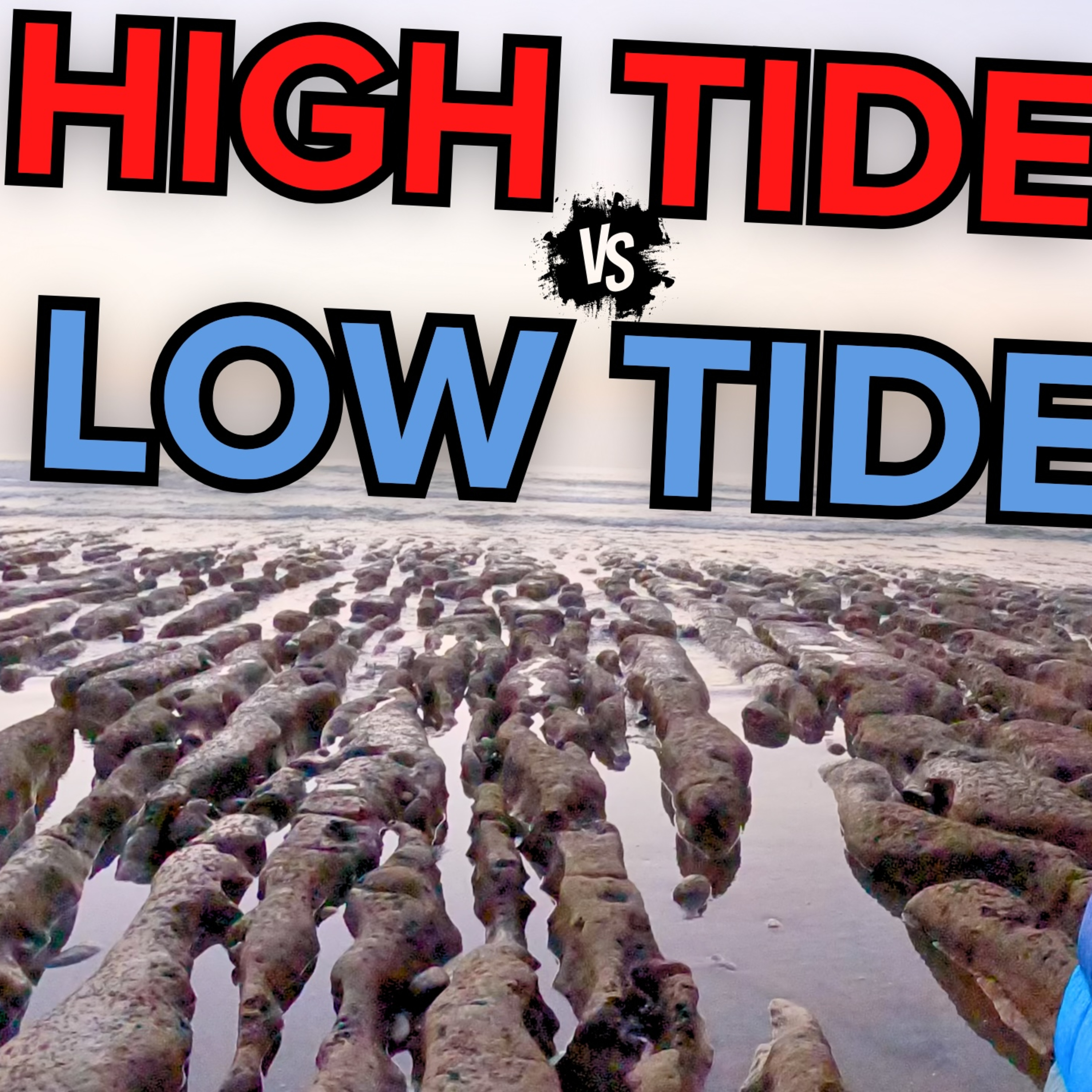 #196 - How Ocean Tides Can MAKE OR BREAK Your Surf Session episode artwork