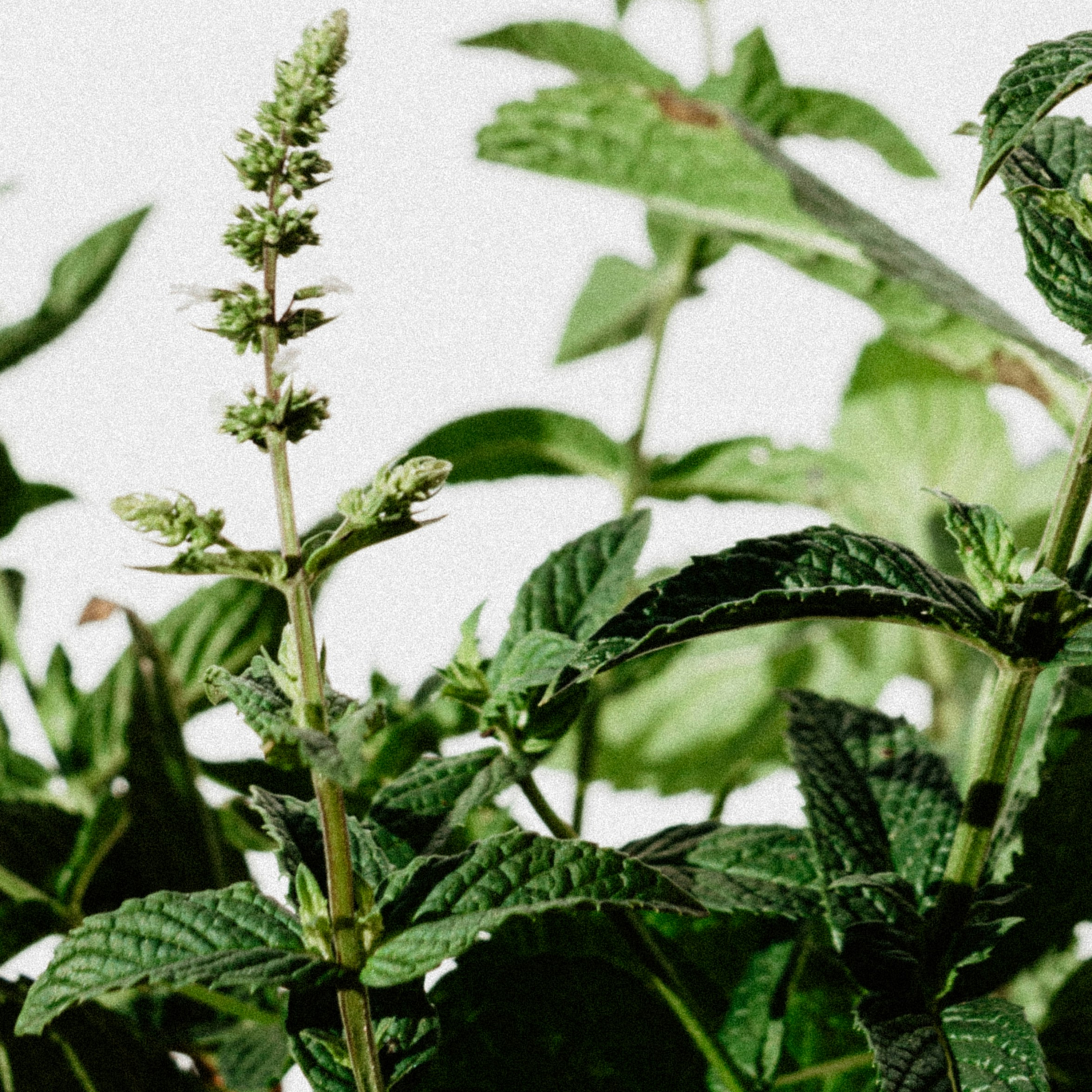 #66: Kes vastutab sinu tervise eest?