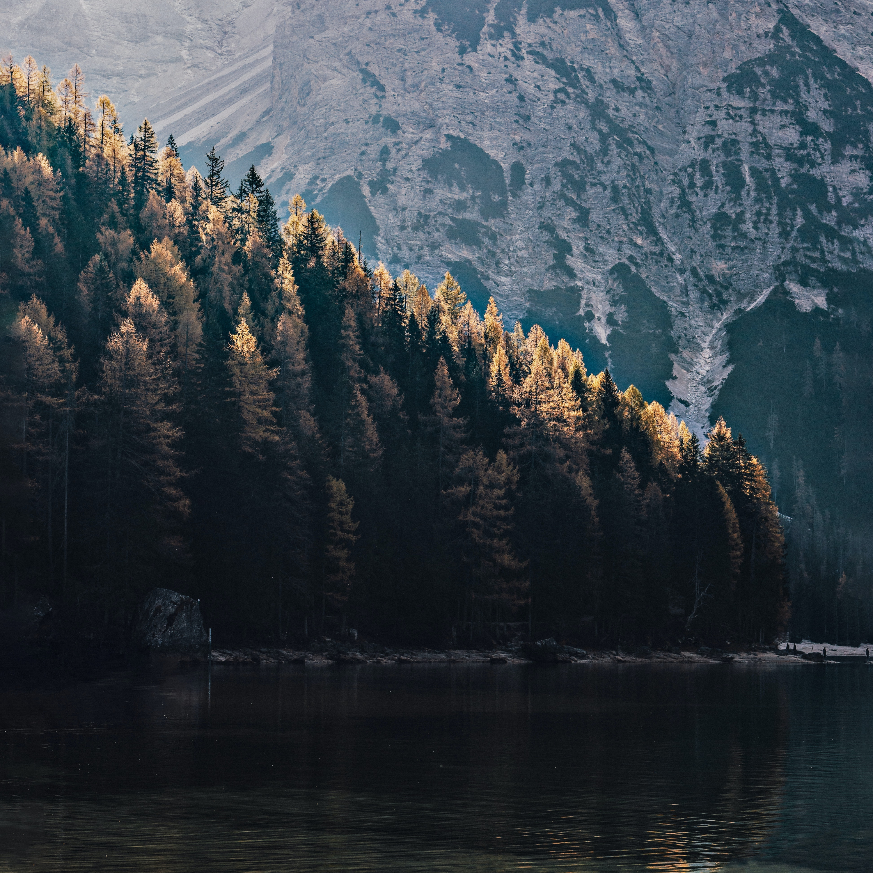 Mindful Moments