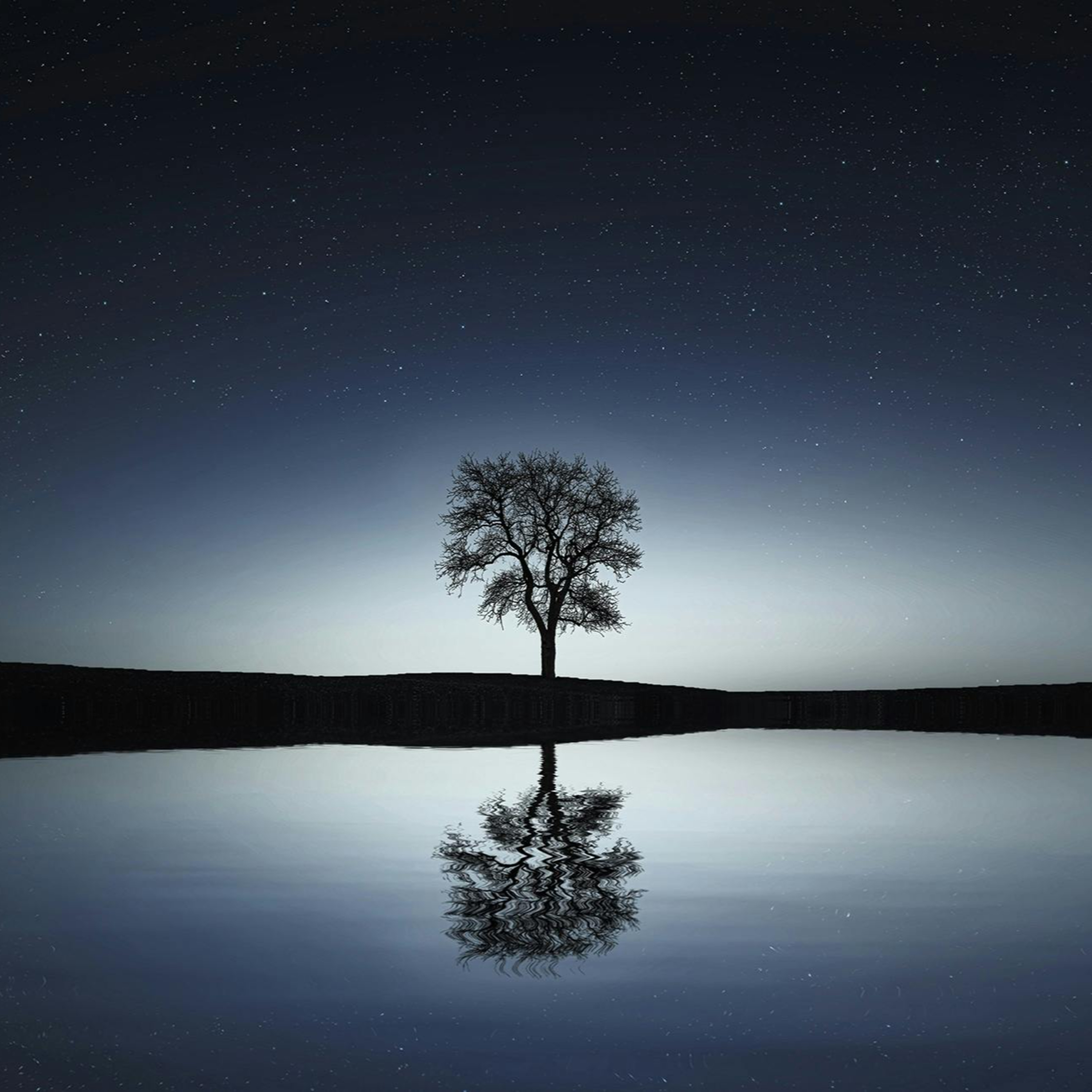 Mindful Moments