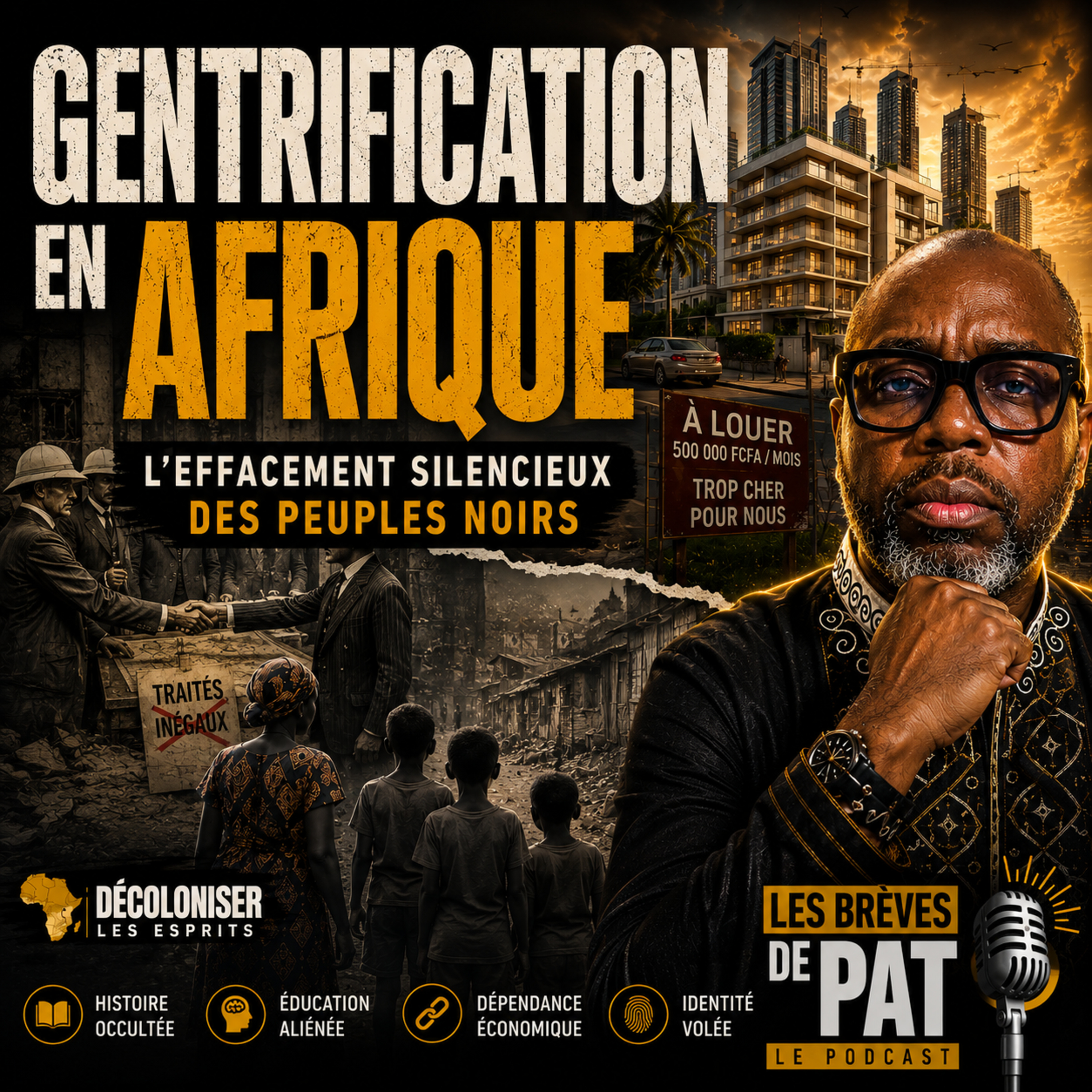 #72 - L'Afrique Noire pris dans un processus de Grand Remplacement