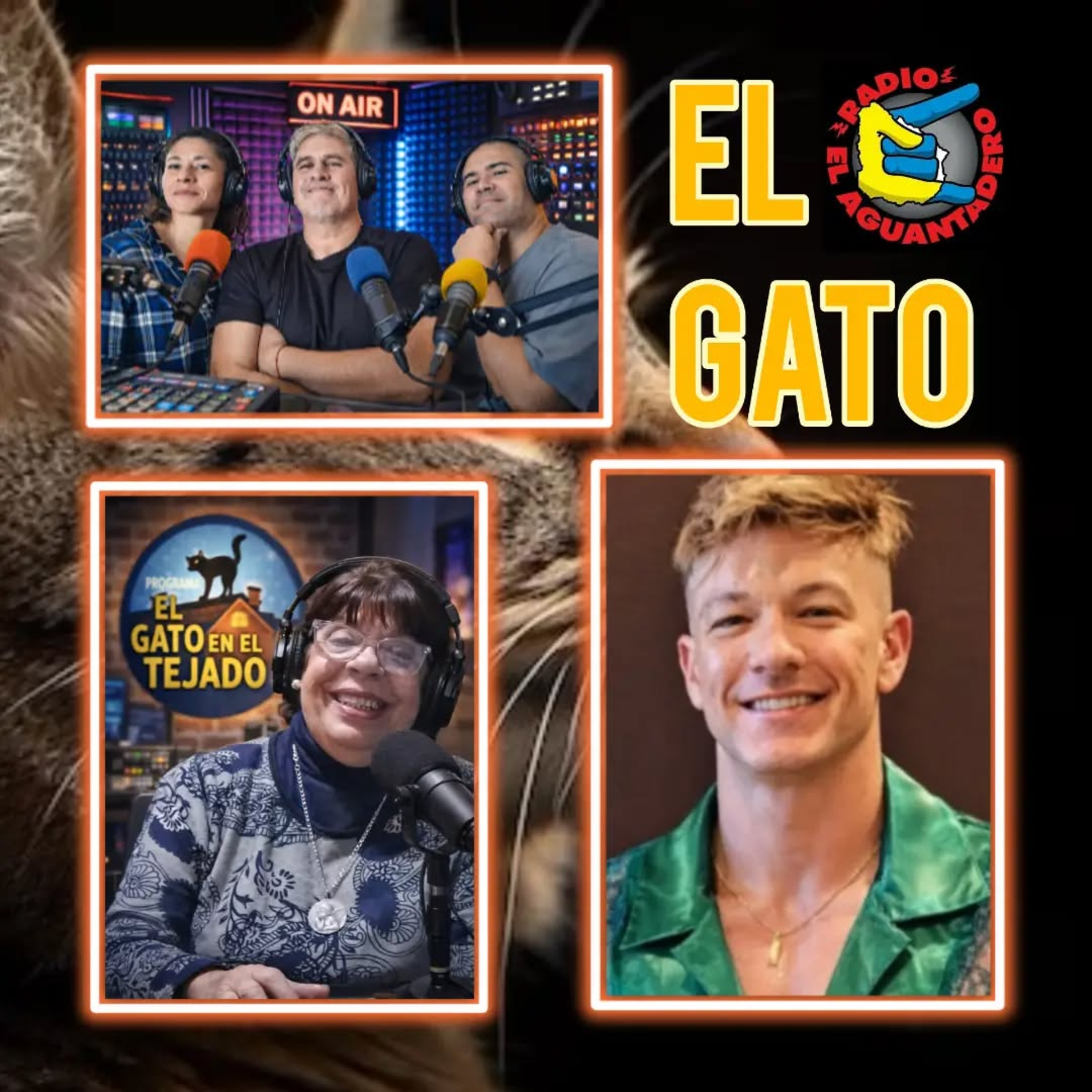 EL GATO EN EL TEJADO 9 DE ABRIL  episode artwork
