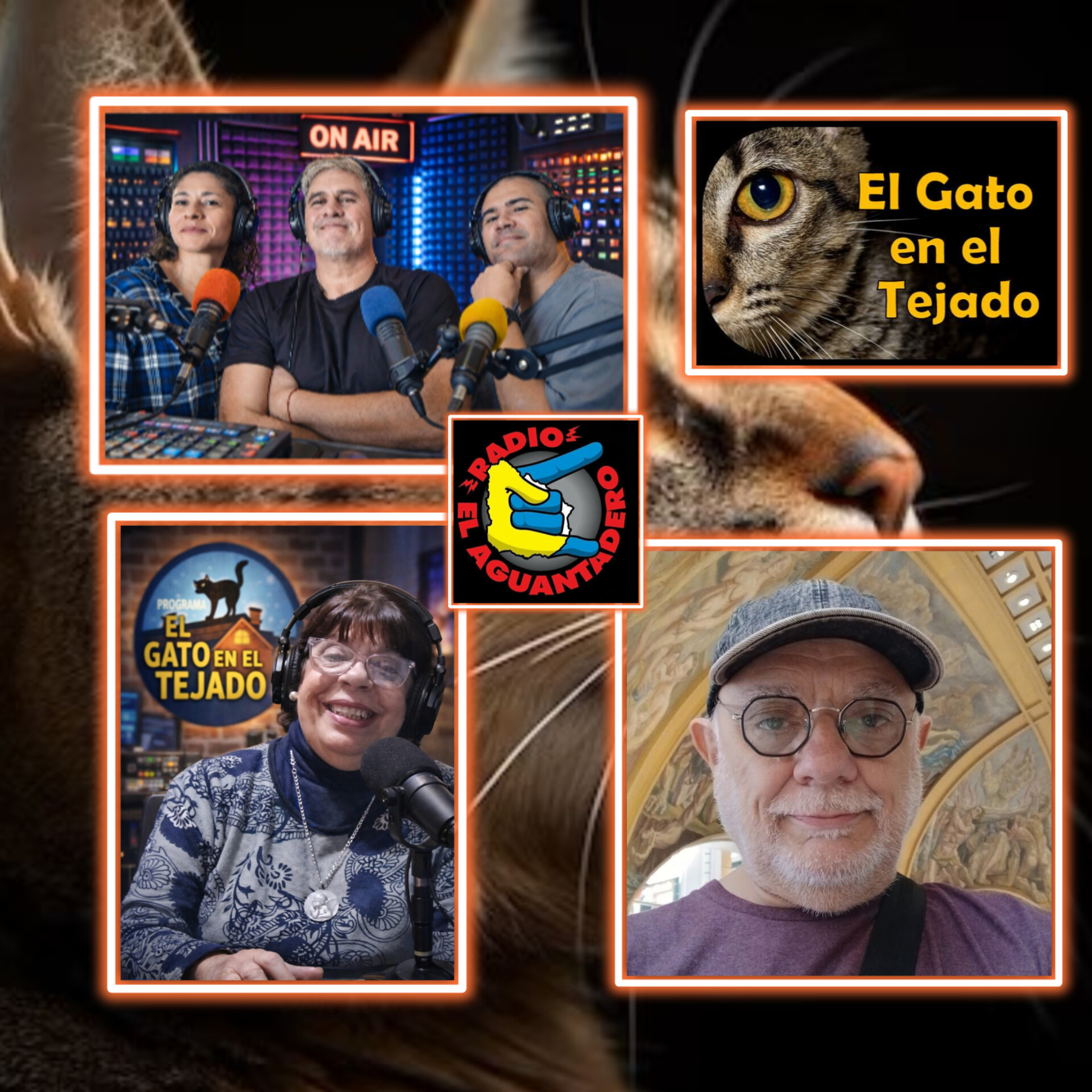EL GATO EN EL TEJADO 16 DE ABRIL  episode artwork