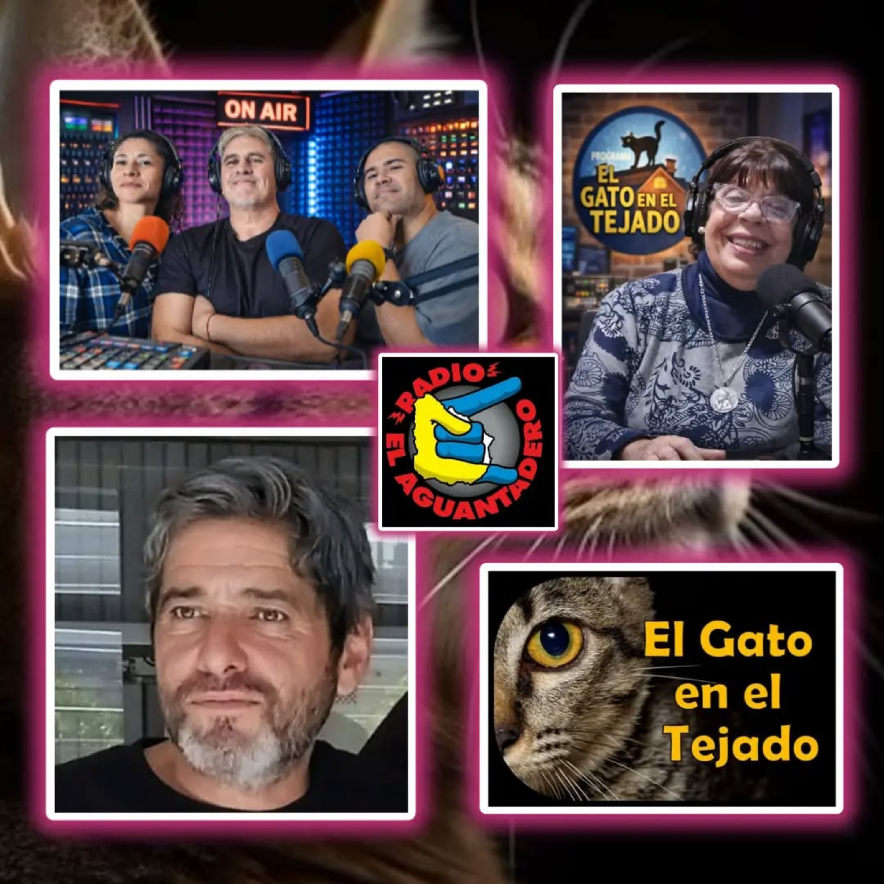 EL GATO EN EL TEJADO 23 DE ABRIL episode artwork