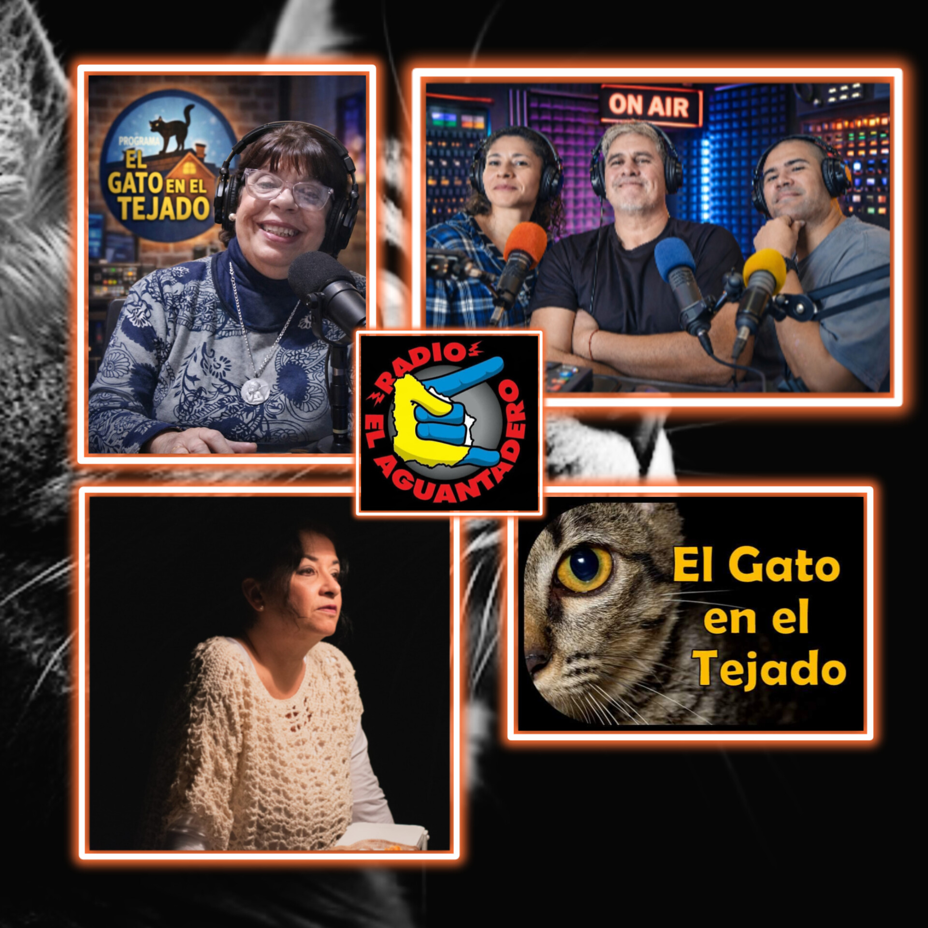 EL GATO EN EL TEJADO 30 DE ABRIL  episode artwork