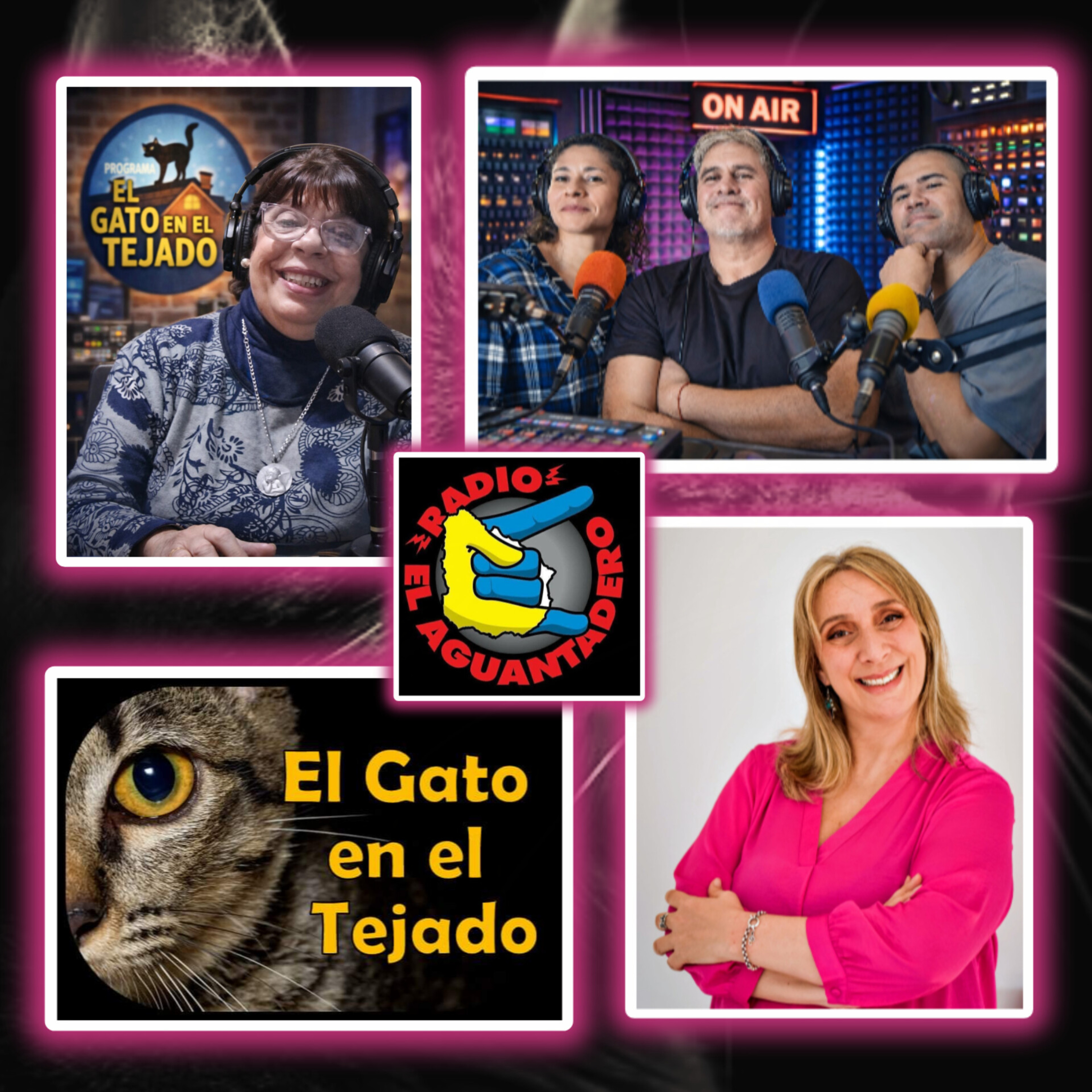 EL GATO EN EL TEJADO 7 DE MAYO episode artwork