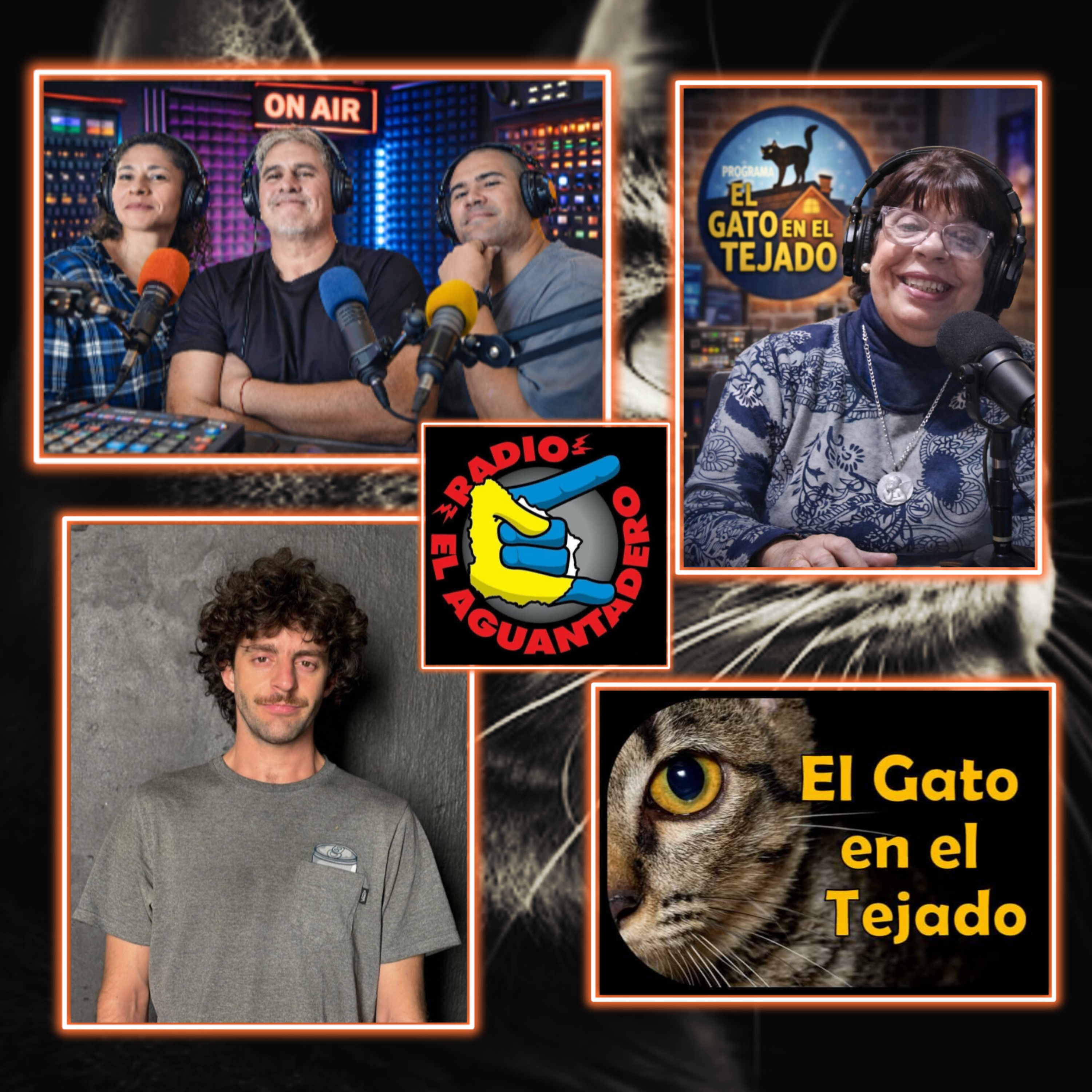 EL GATO EN EL TEJADO 14 DEMAYO episode artwork