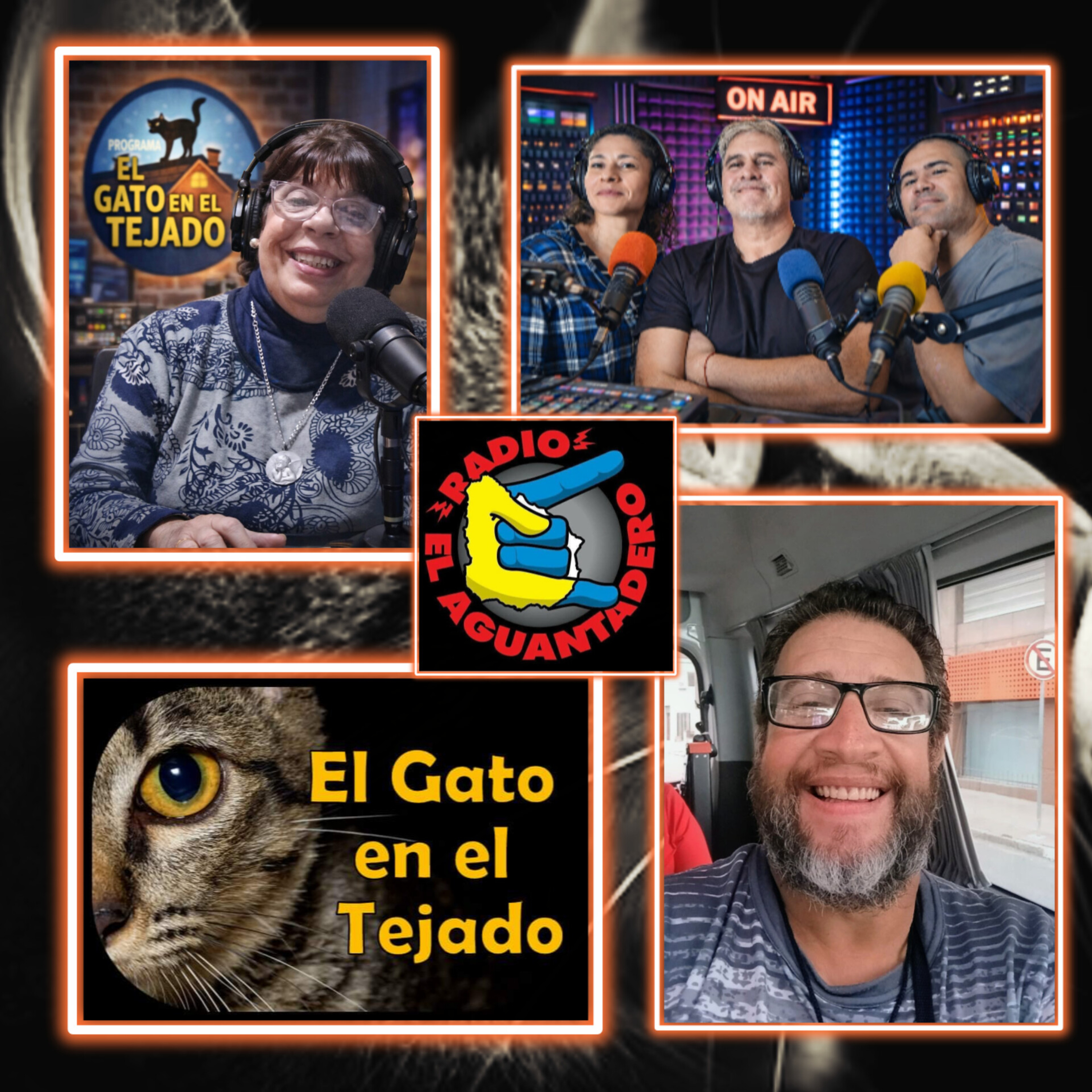 EL GATO EN EL TEJADO 21 DE MAYO  episode artwork