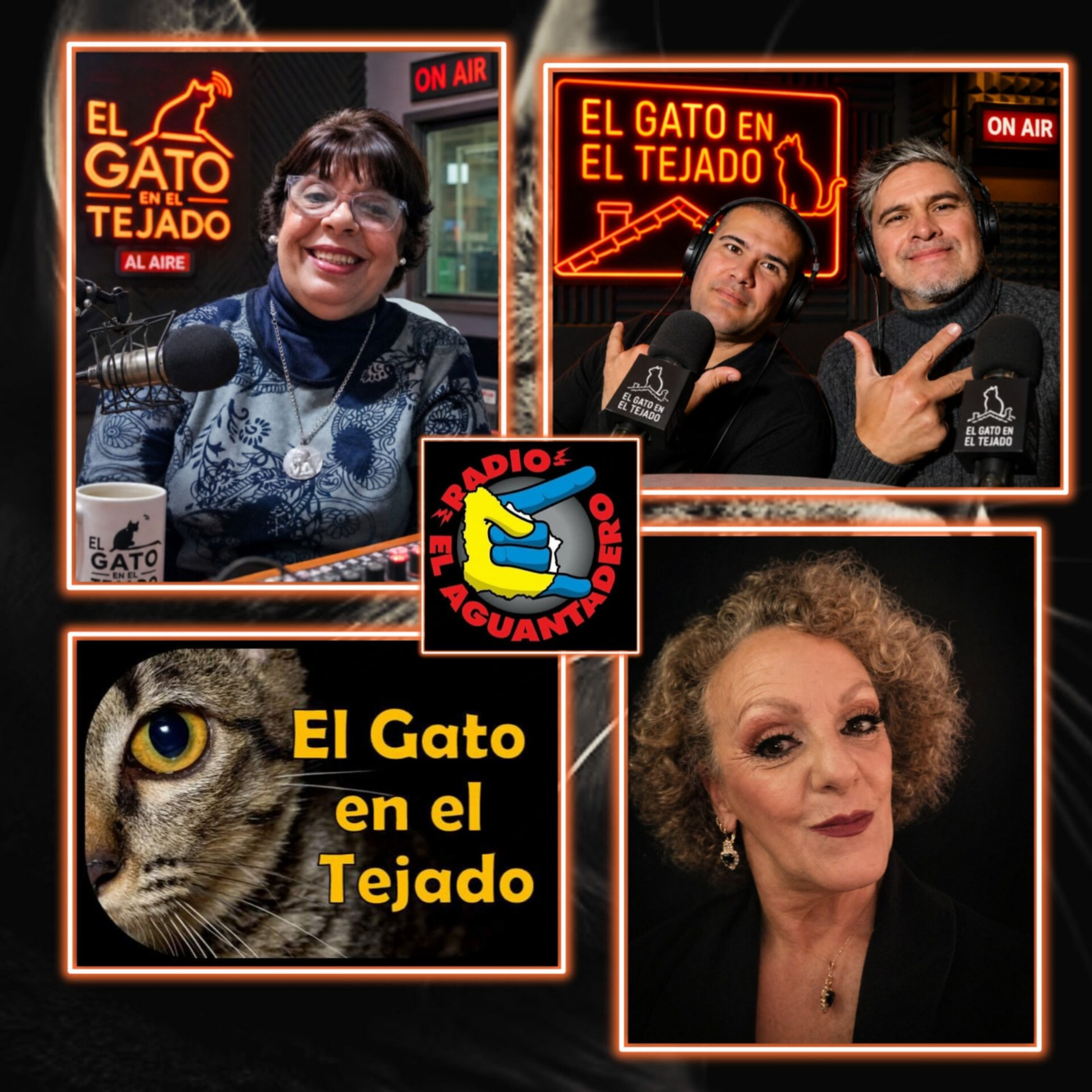 EL GATO EN EL TEJADO episode artwork