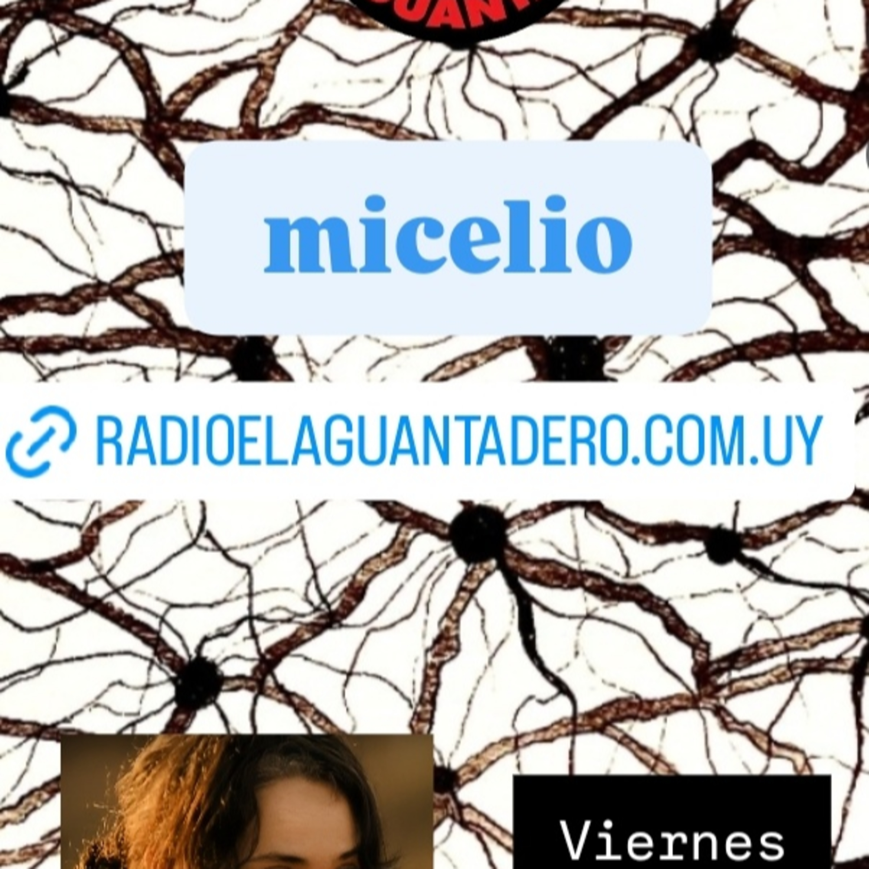 MICELIO 5 DE MAYO episode artwork