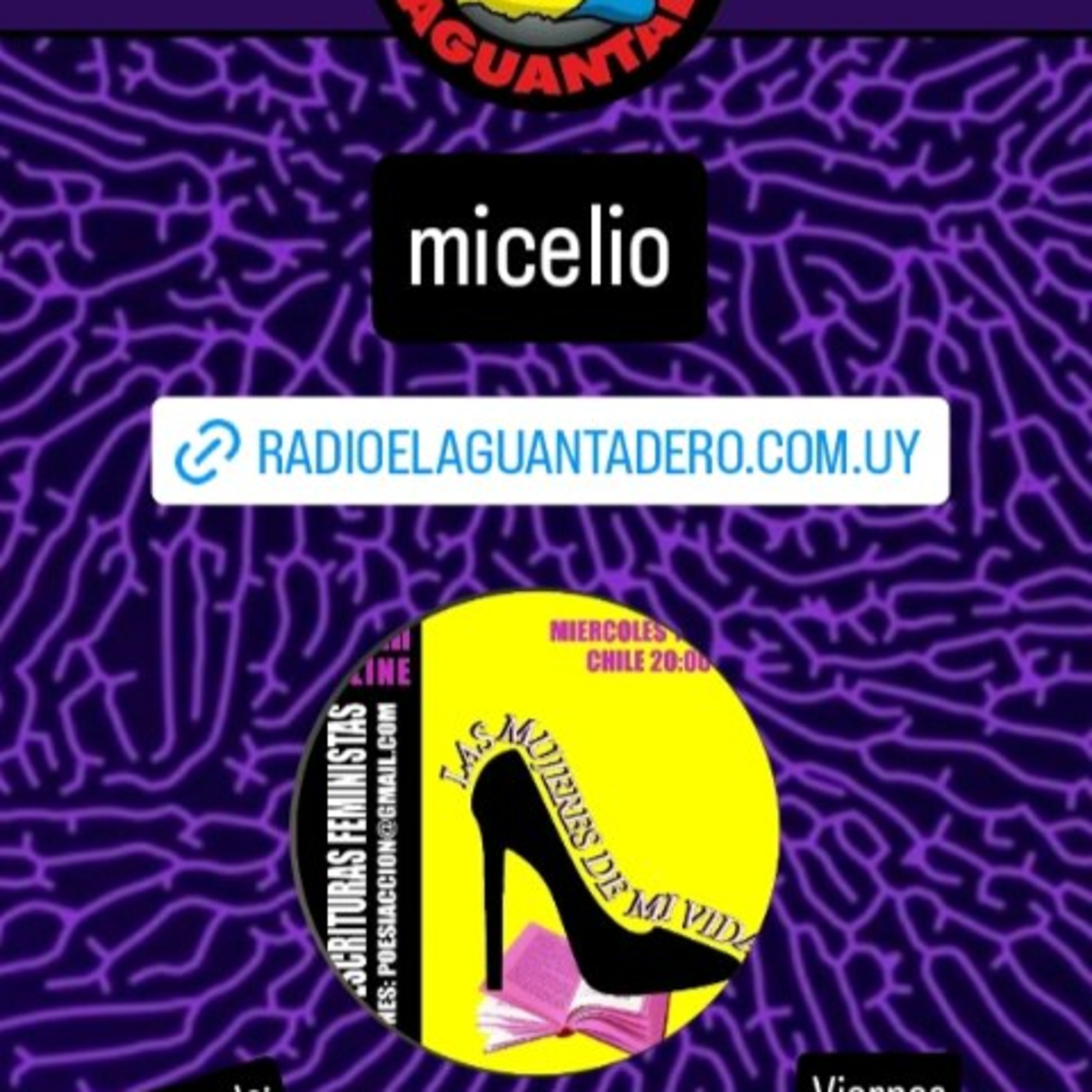 MICELIO 12 DE JUNIO episode artwork