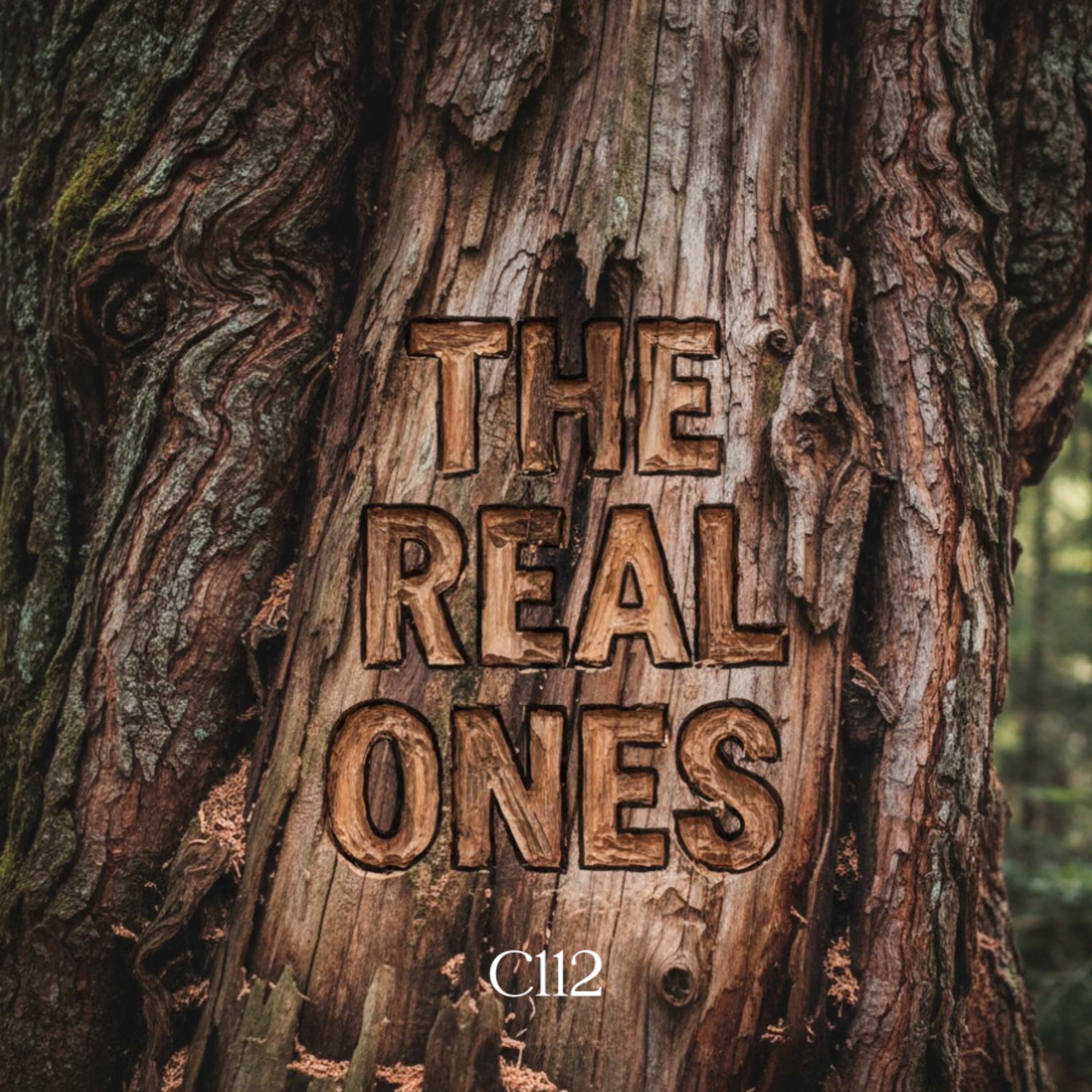 THE REAL ONES, Part Two: Trust and Obey episode artwork