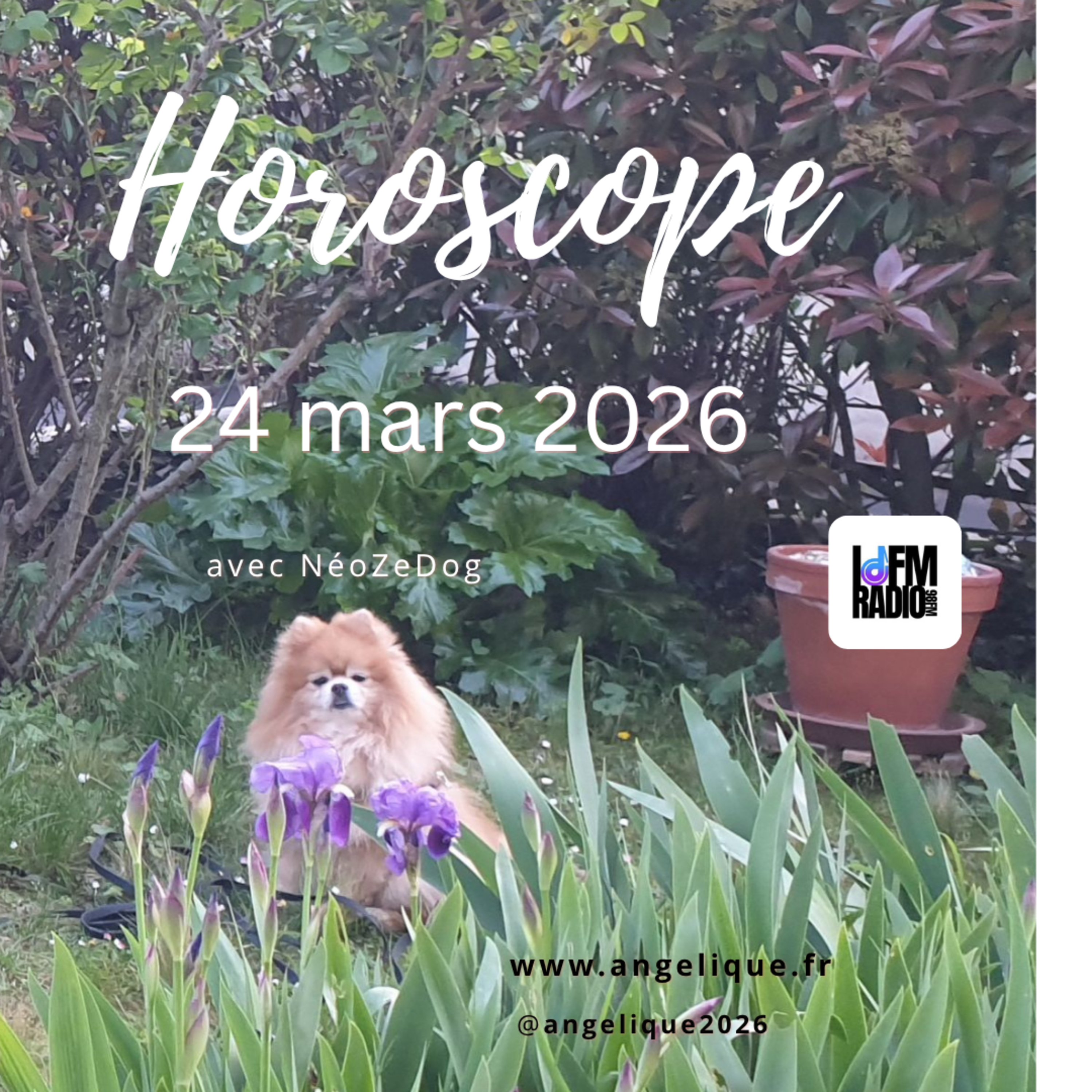 Horoscope du 24 mars 2026  episode artwork
