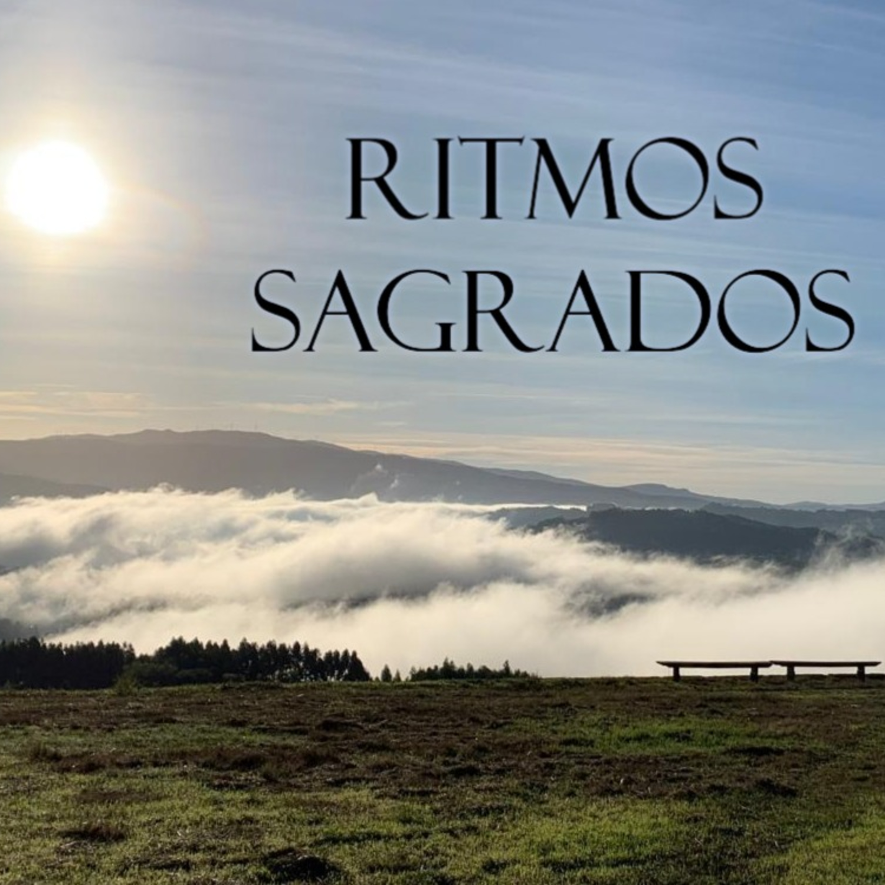 Lectio Divina do Evangelho de João 2:13-22